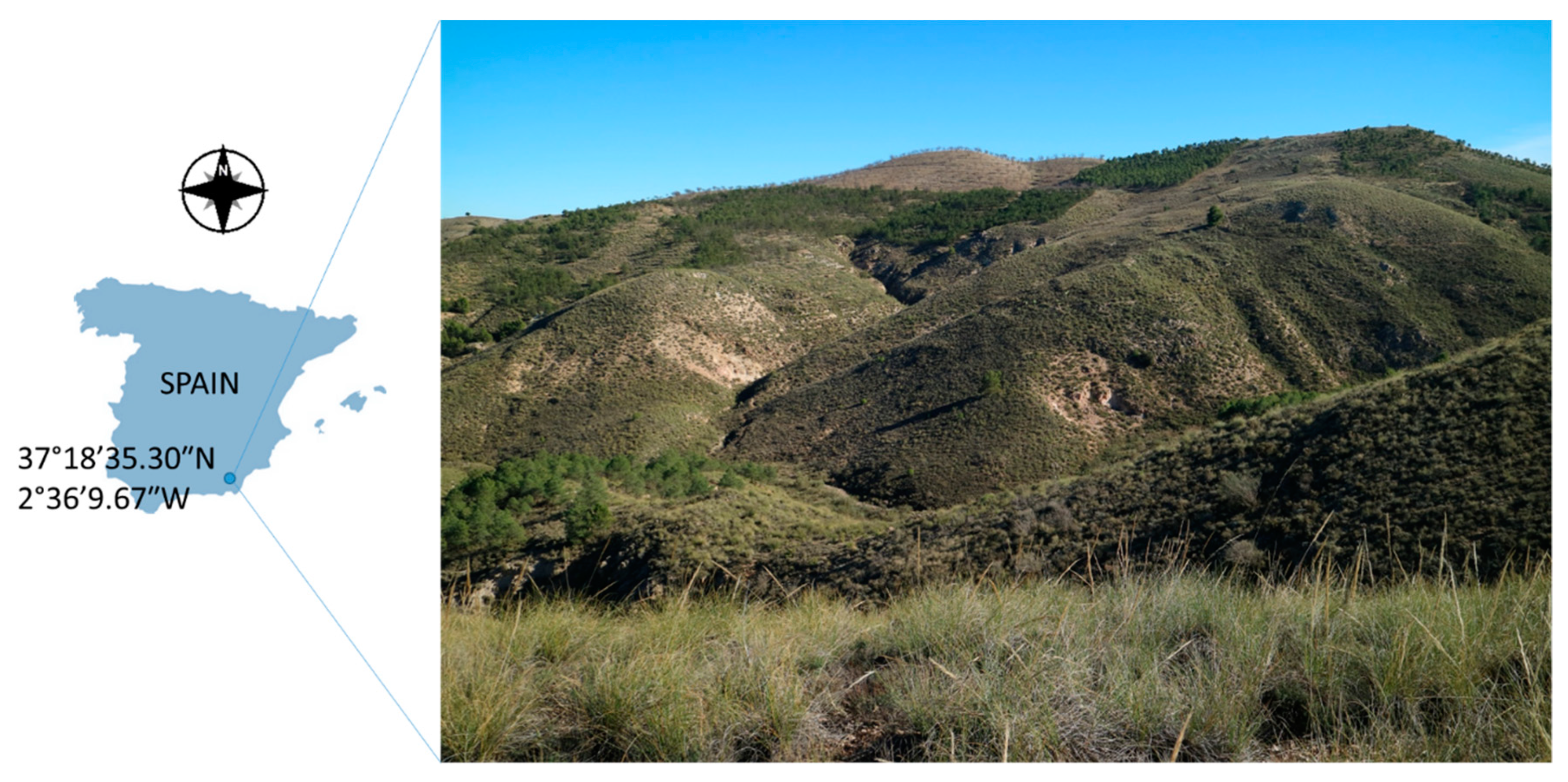 Remotesensing 11 02579 g001