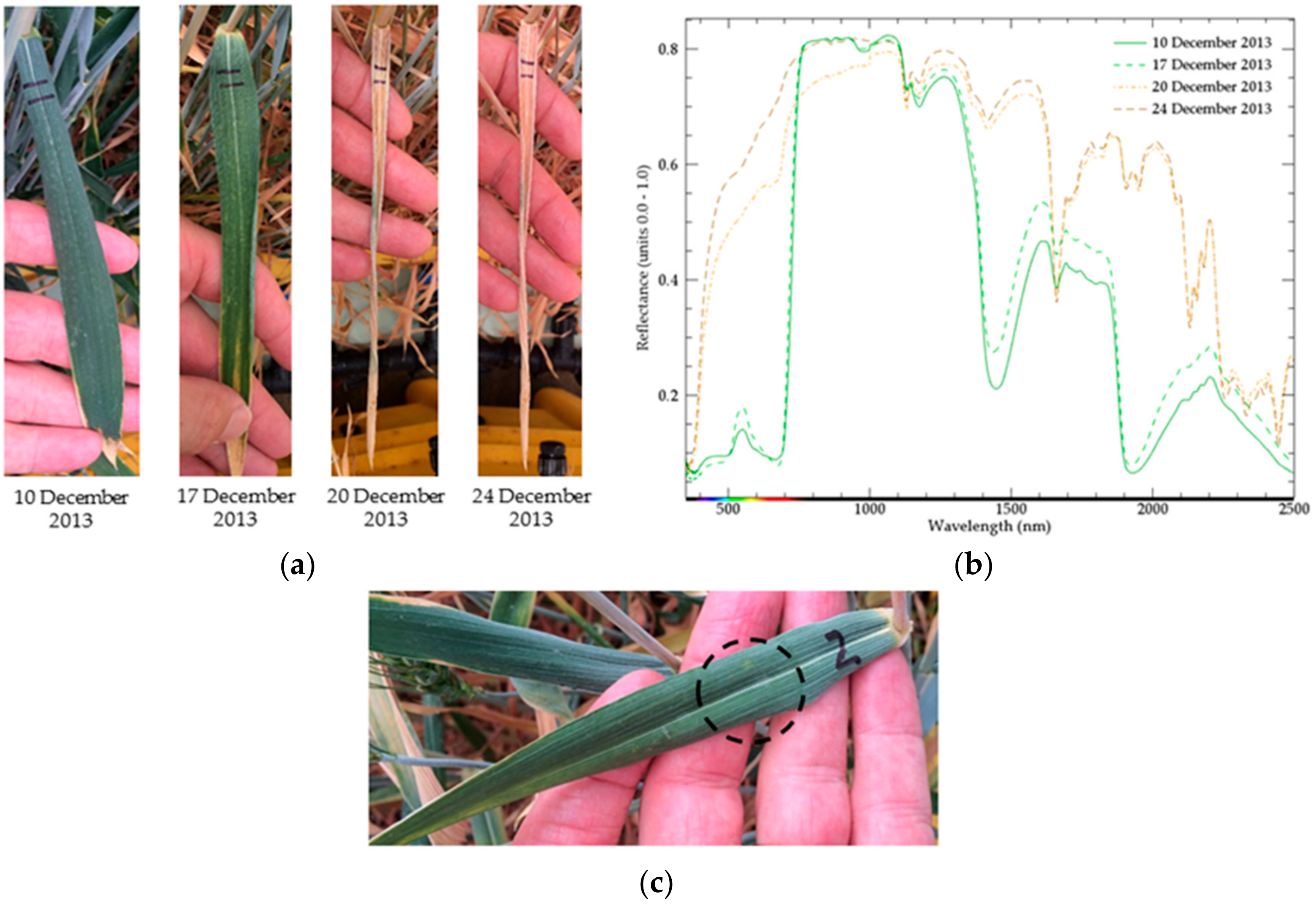 Remotesensing 11 02589 g001