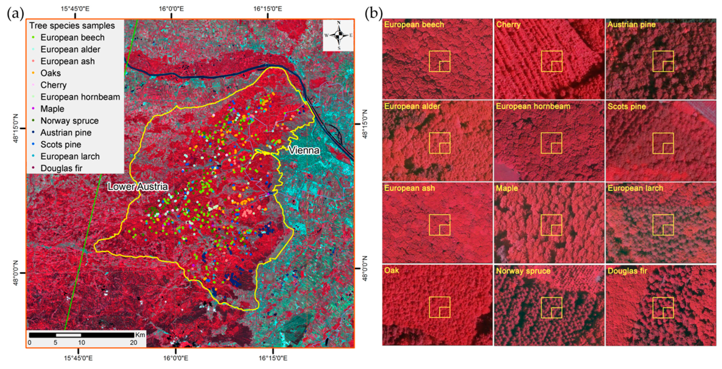 Remotesensing 11 02599 g003 Remotesensing 11 02599 g003