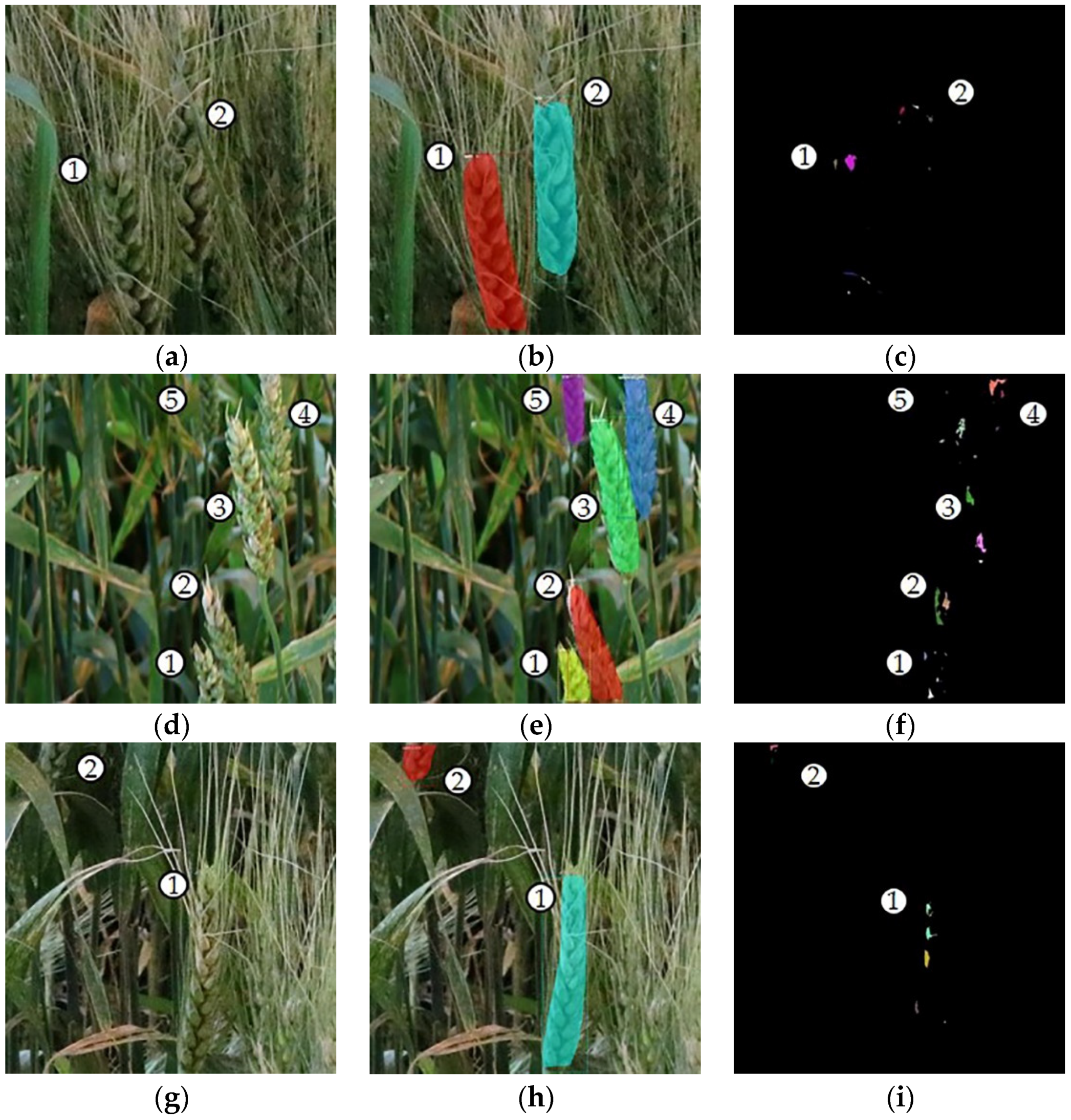 Remotesensing 11 02658 g012 Remotesensing 11 02658 g012