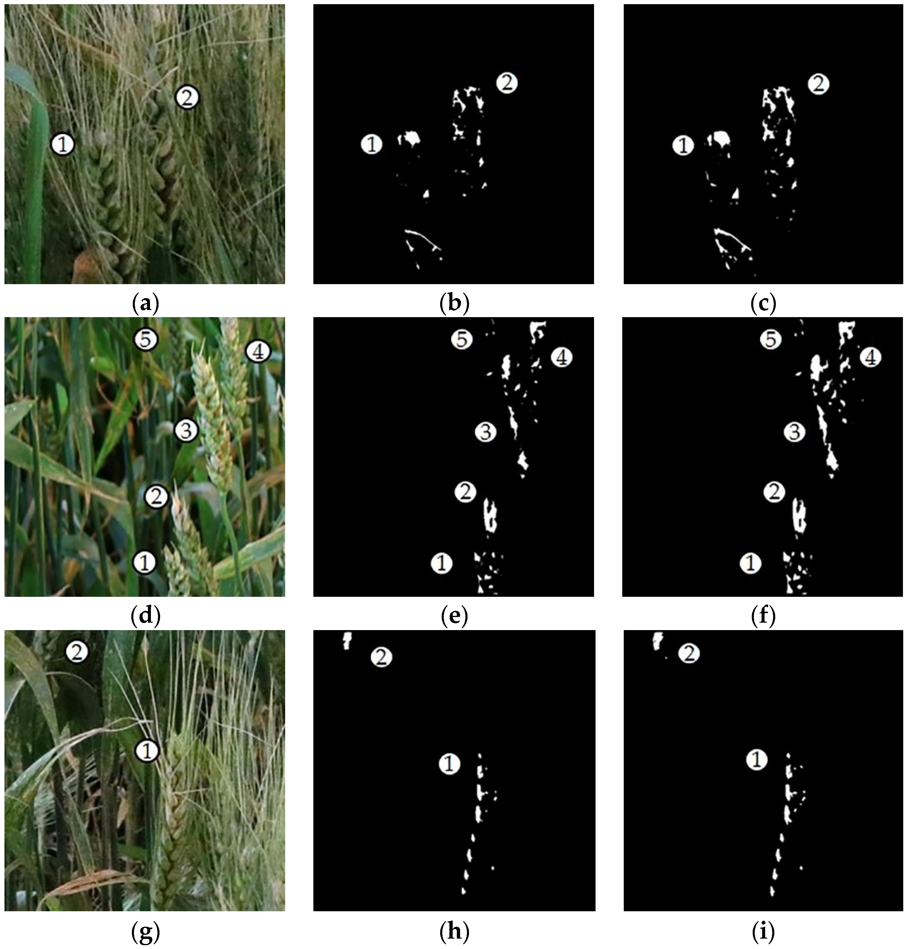 Remotesensing 11 02658 g013 Remotesensing 11 02658 g013