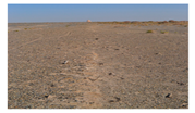 Remotesensing 11 02711 i002 Remotesensing 11 02711 i002