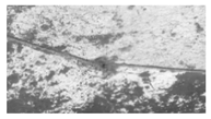 Remotesensing 11 02711 i017 Remotesensing 11 02711 i017