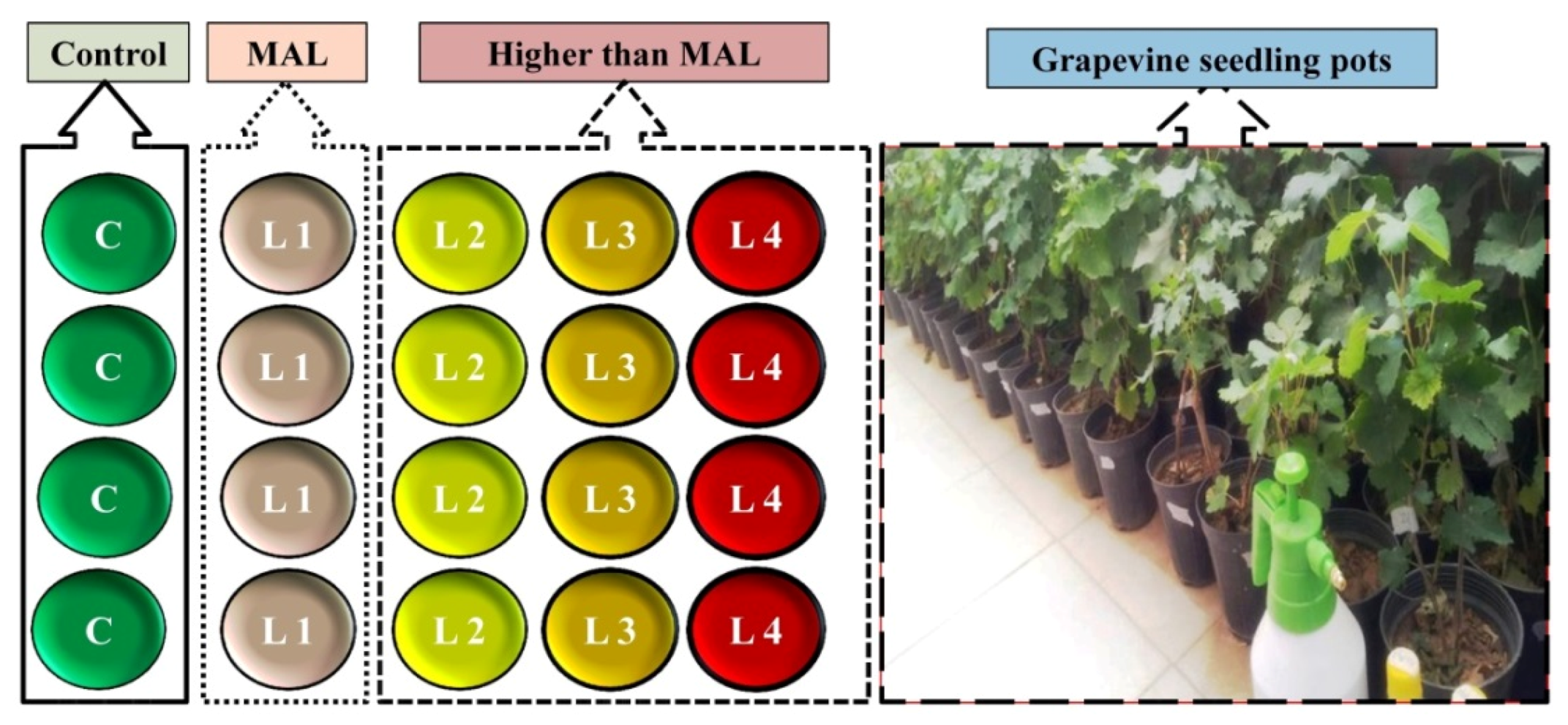 Remotesensing 11 02731 g001 Remotesensing 11 02731 g001