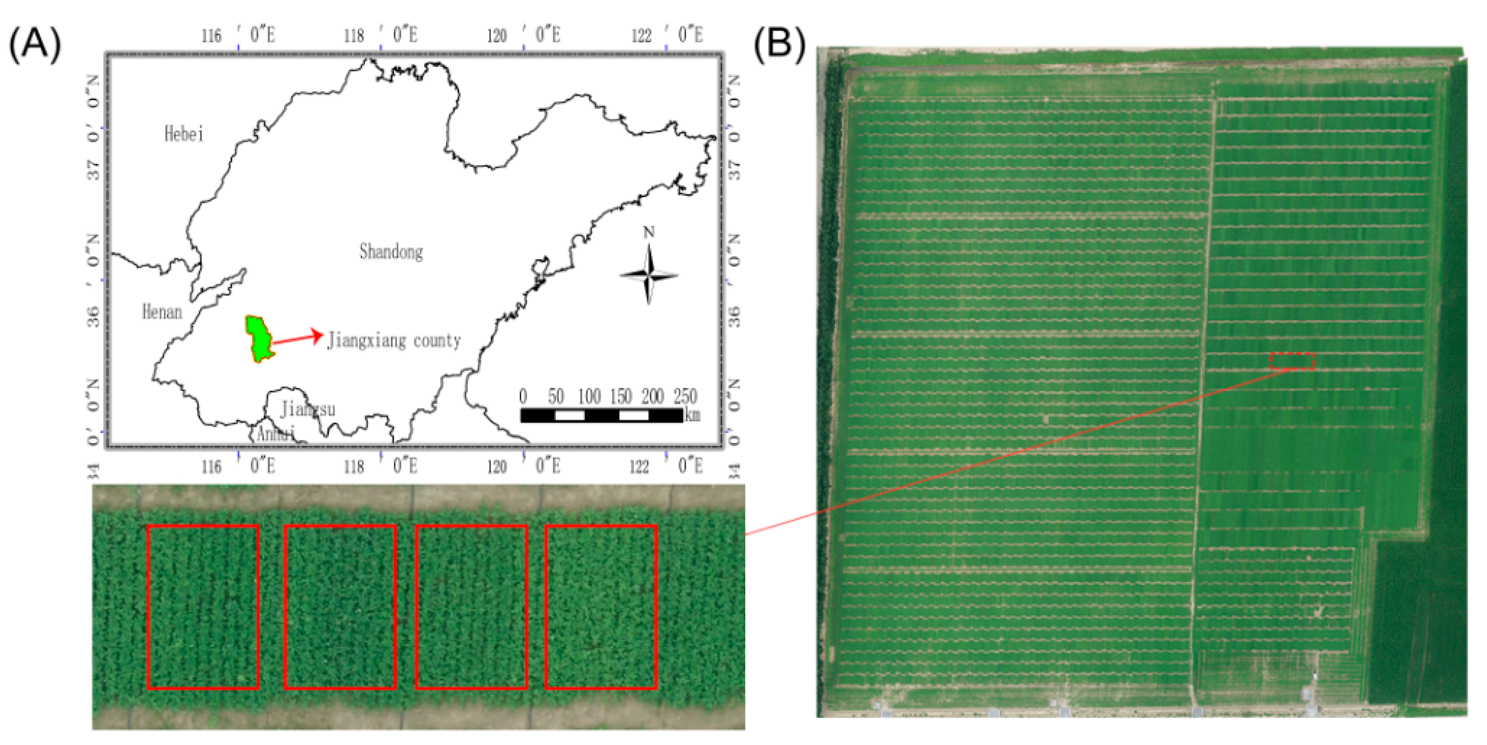 Remotesensing 11 02752 g001