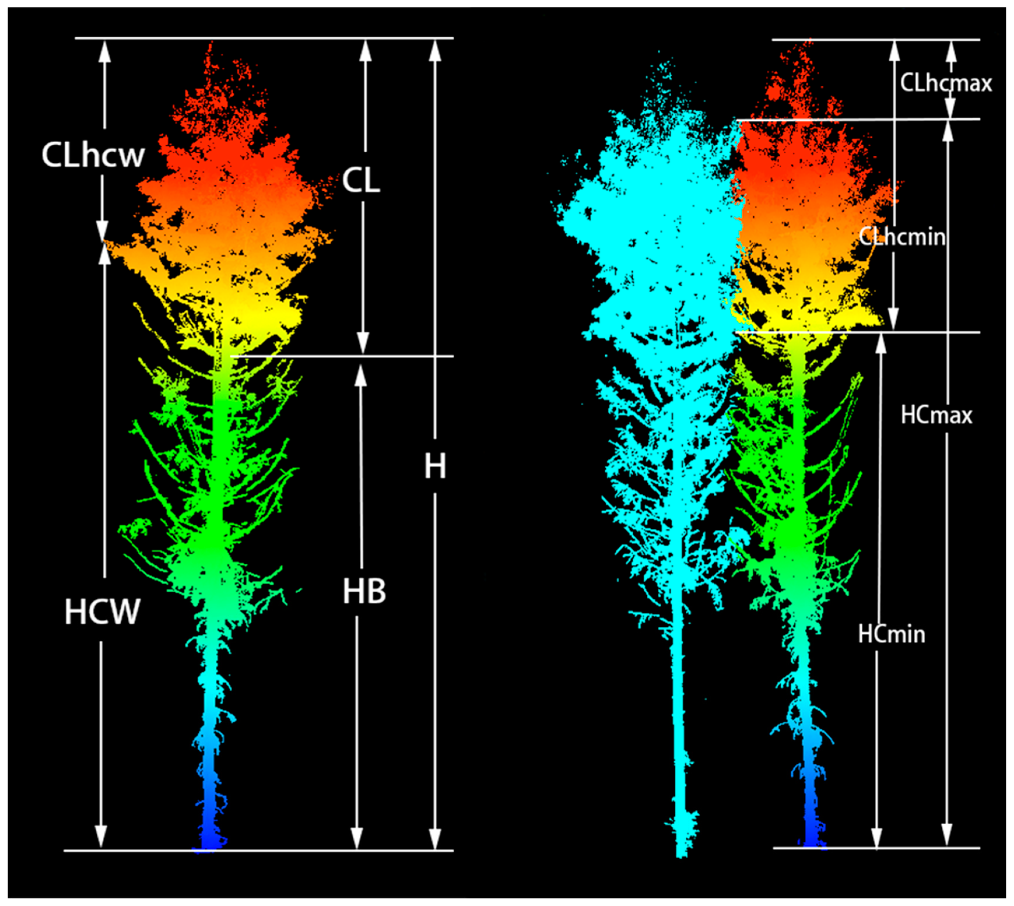Remotesensing 11 02793 g003