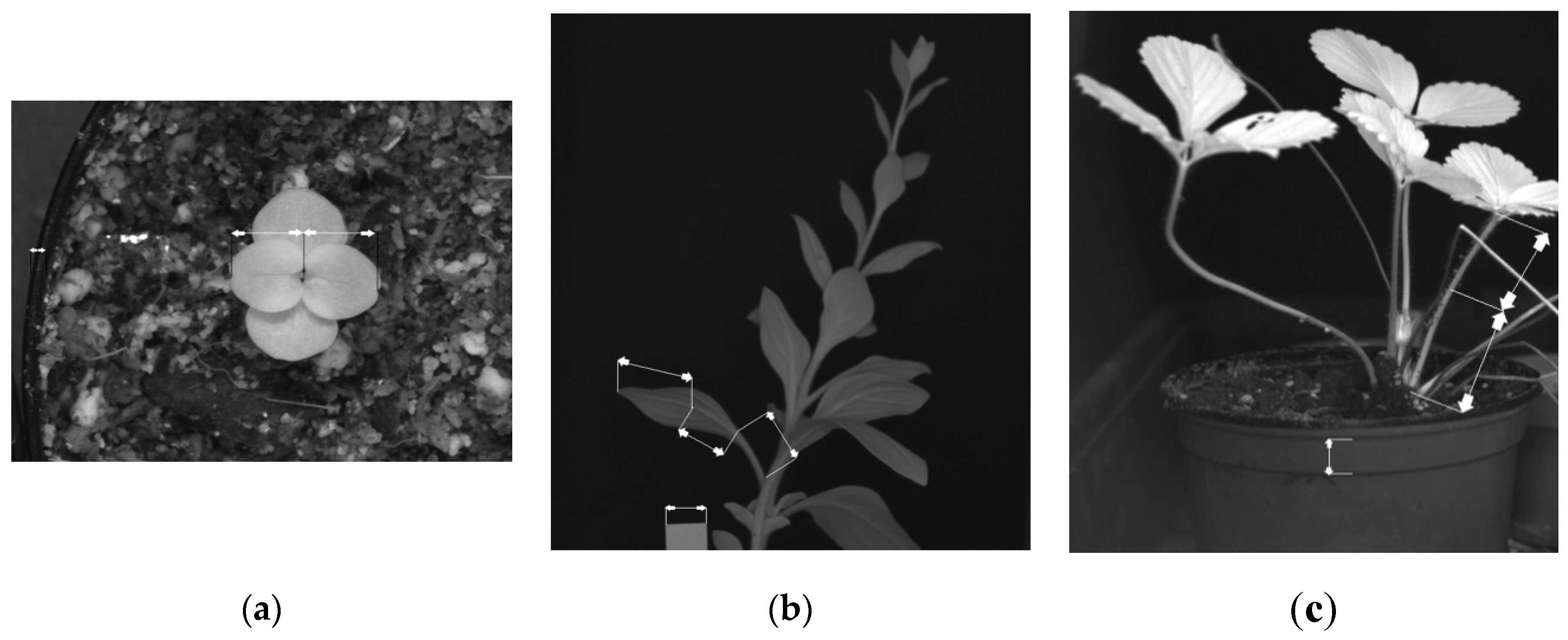 Remotesensing 11 02839 g001 Remotesensing 11 02839 g001