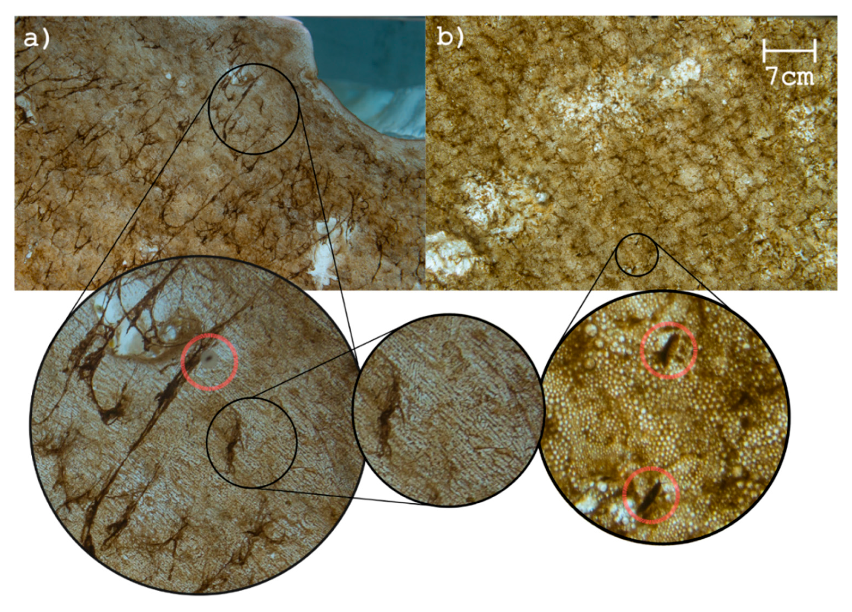 Remotesensing 11 02860 g007