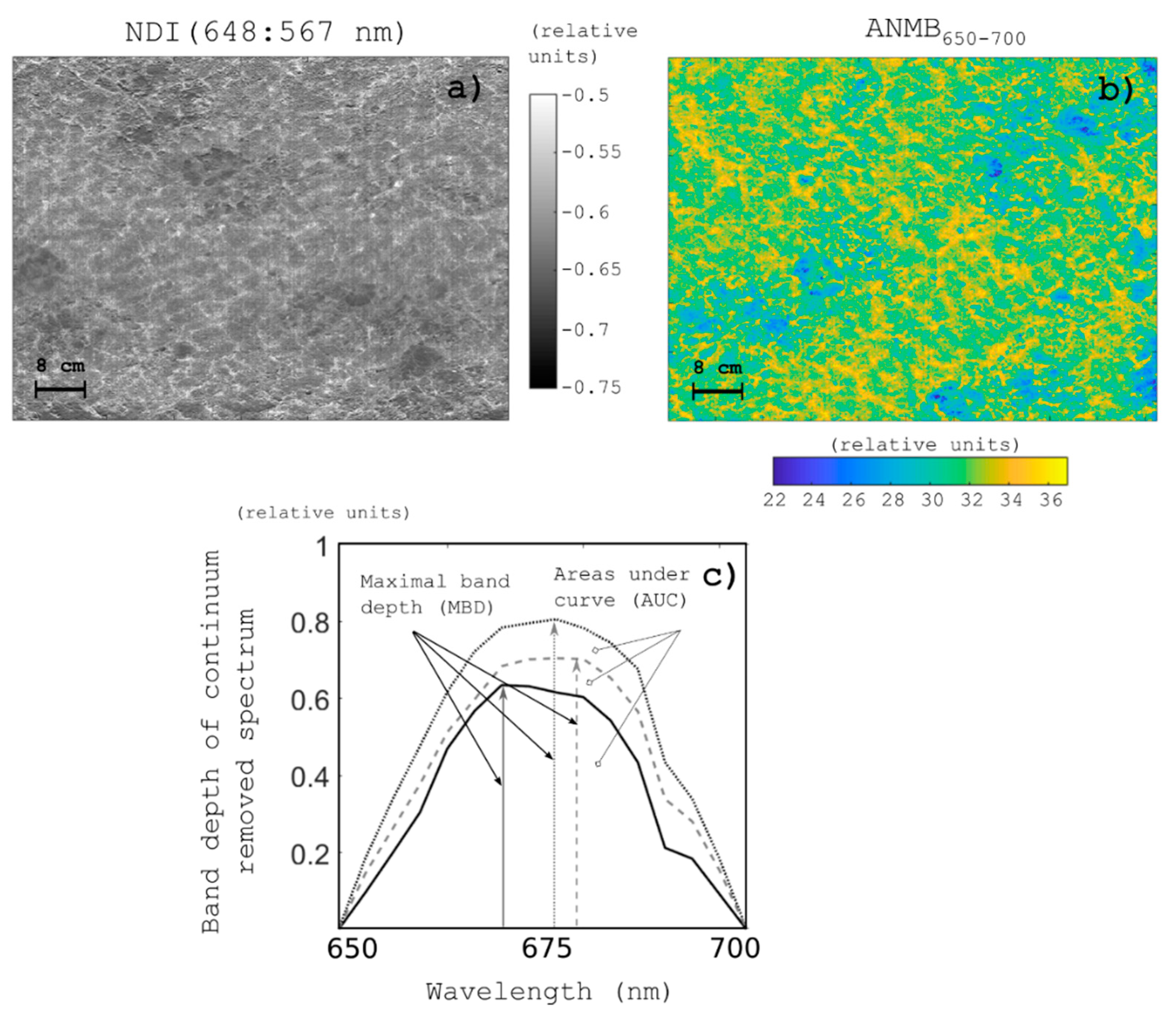 Remotesensing 11 02860 g010