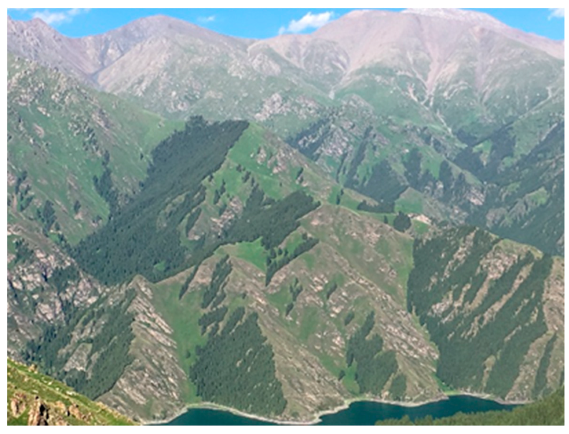 Remotesensing 11 02861 g007 Remotesensing 11 02861 g007