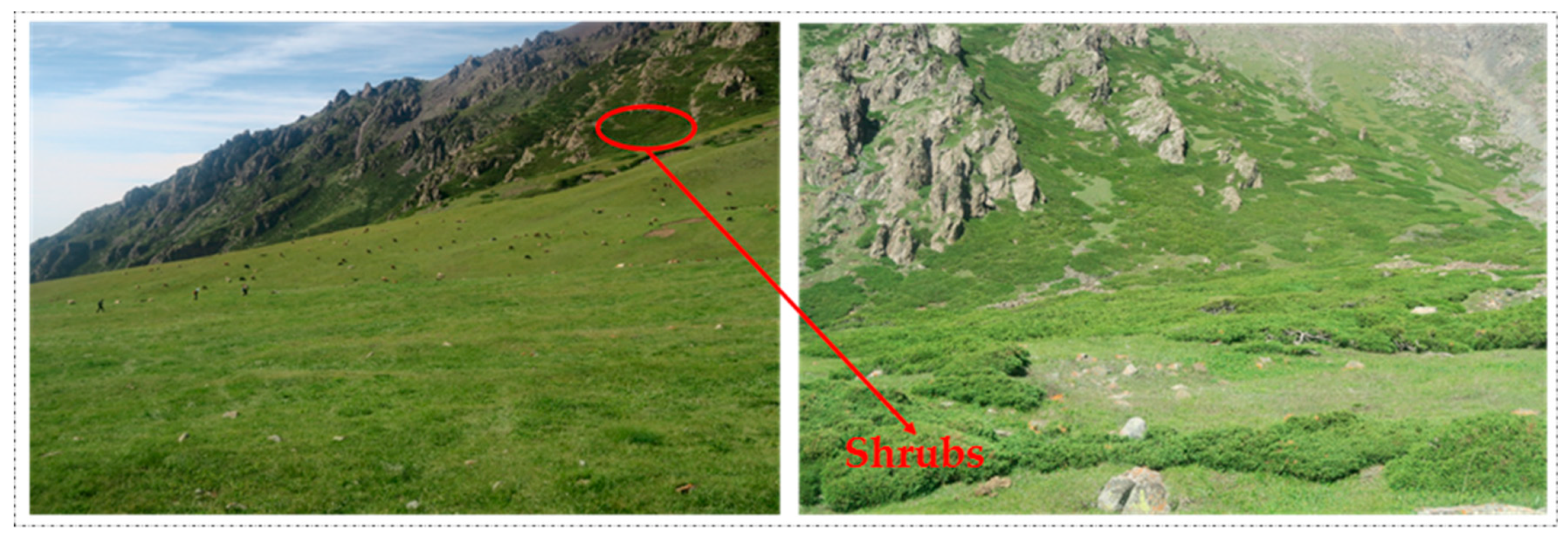 Remotesensing 11 02861 g014 Remotesensing 11 02861 g014