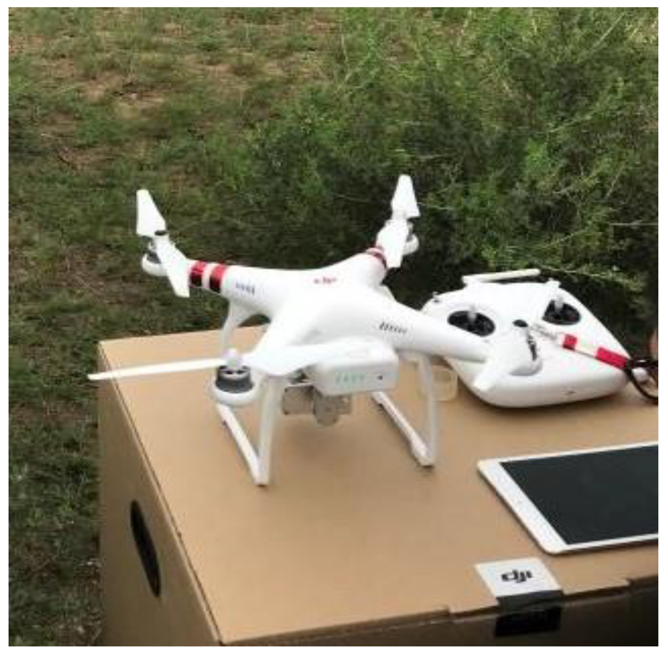 Remotesensing 11 02914 g003