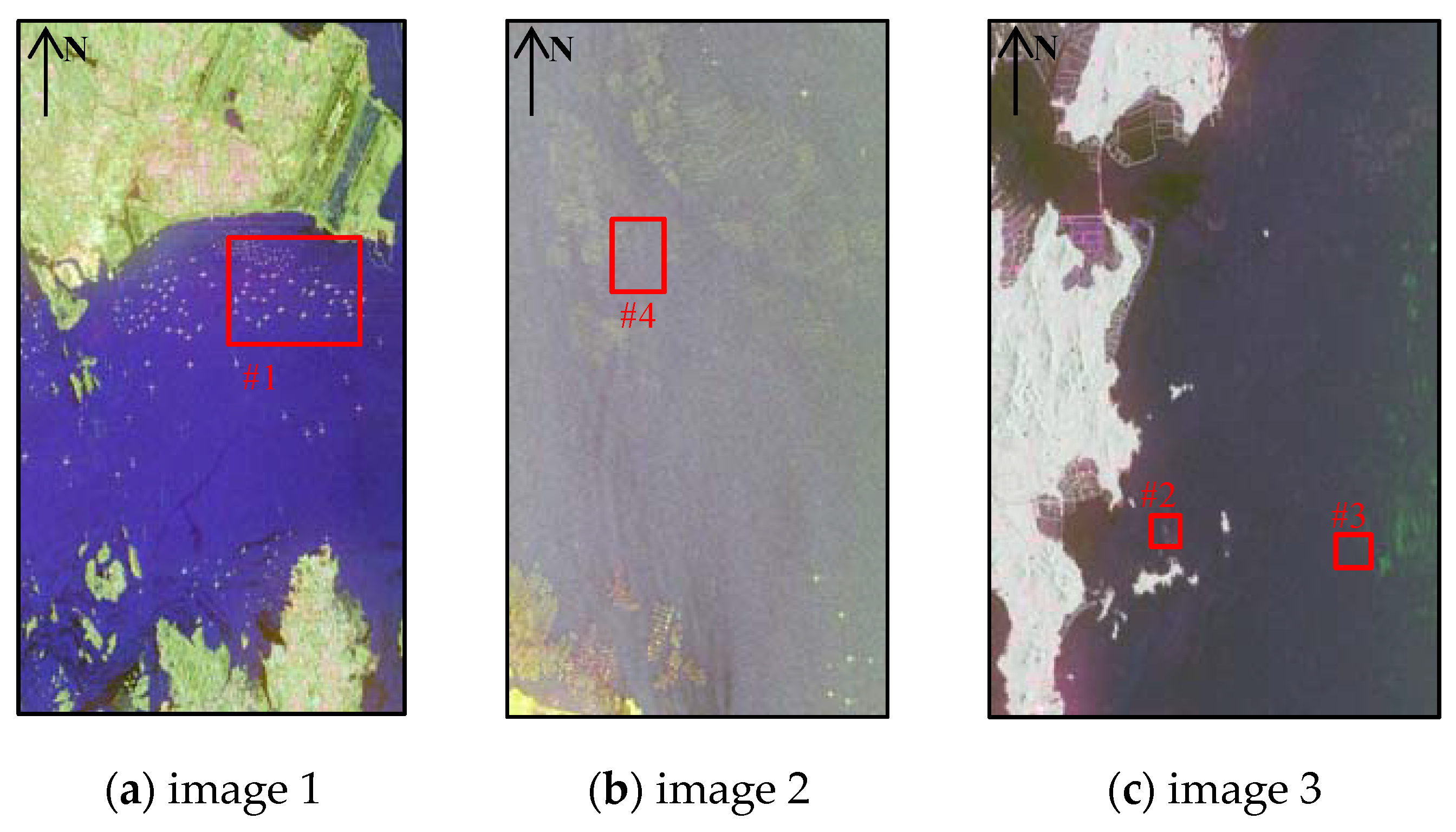 Remotesensing 11 02938 g003 Remotesensing 11 02938 g003