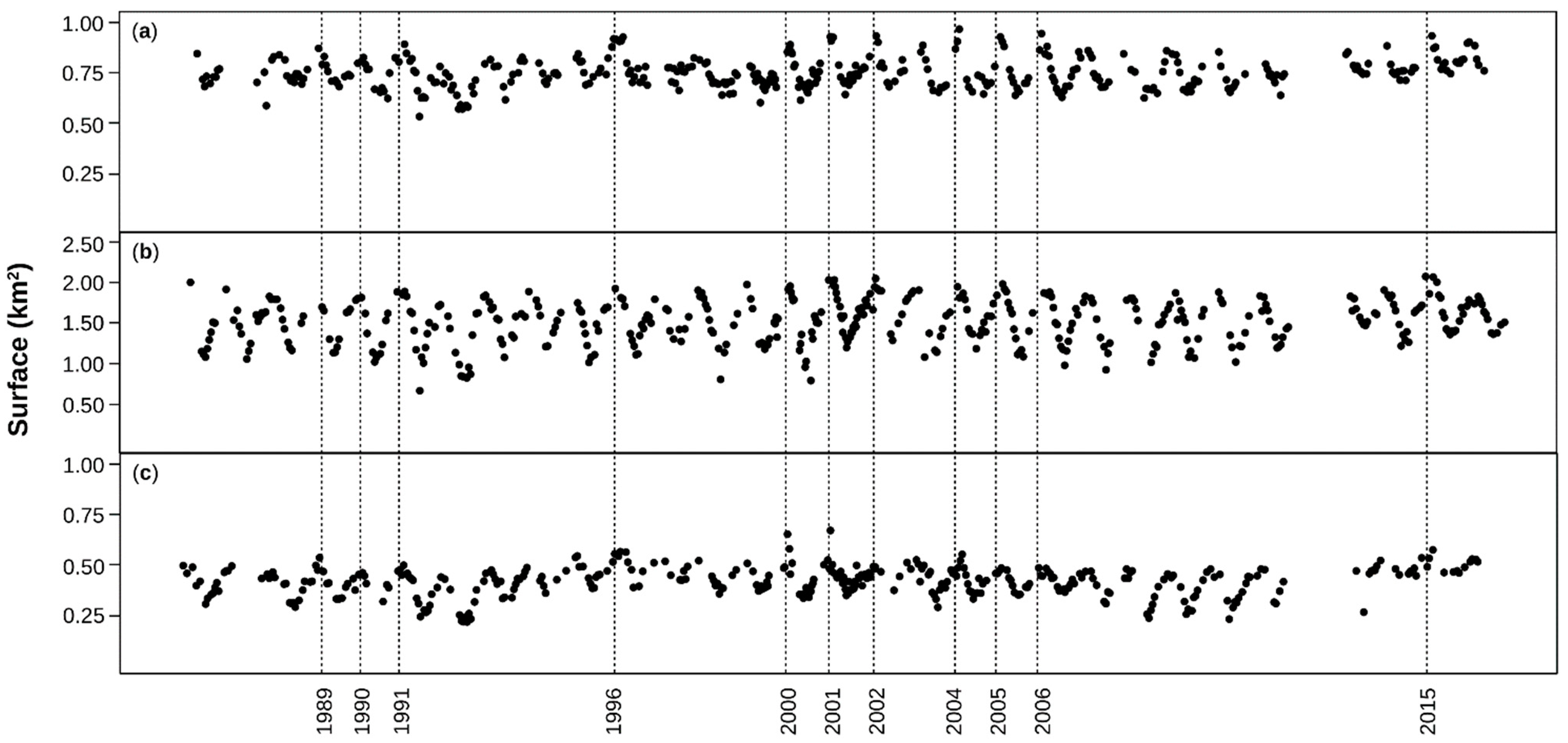 Remotesensing 11 02955 g003 Remotesensing 11 02955 g003