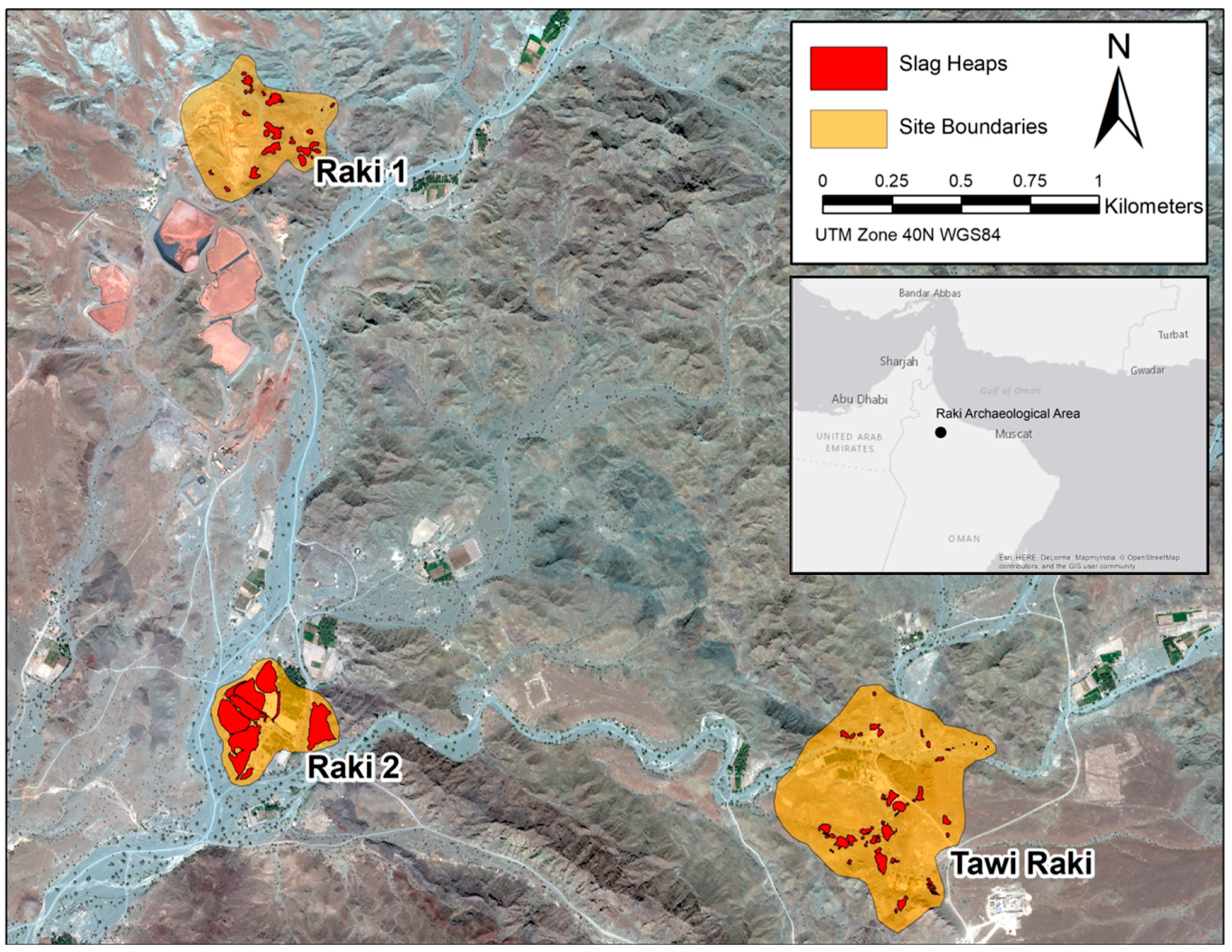 Remotesensing 11 03014 g001