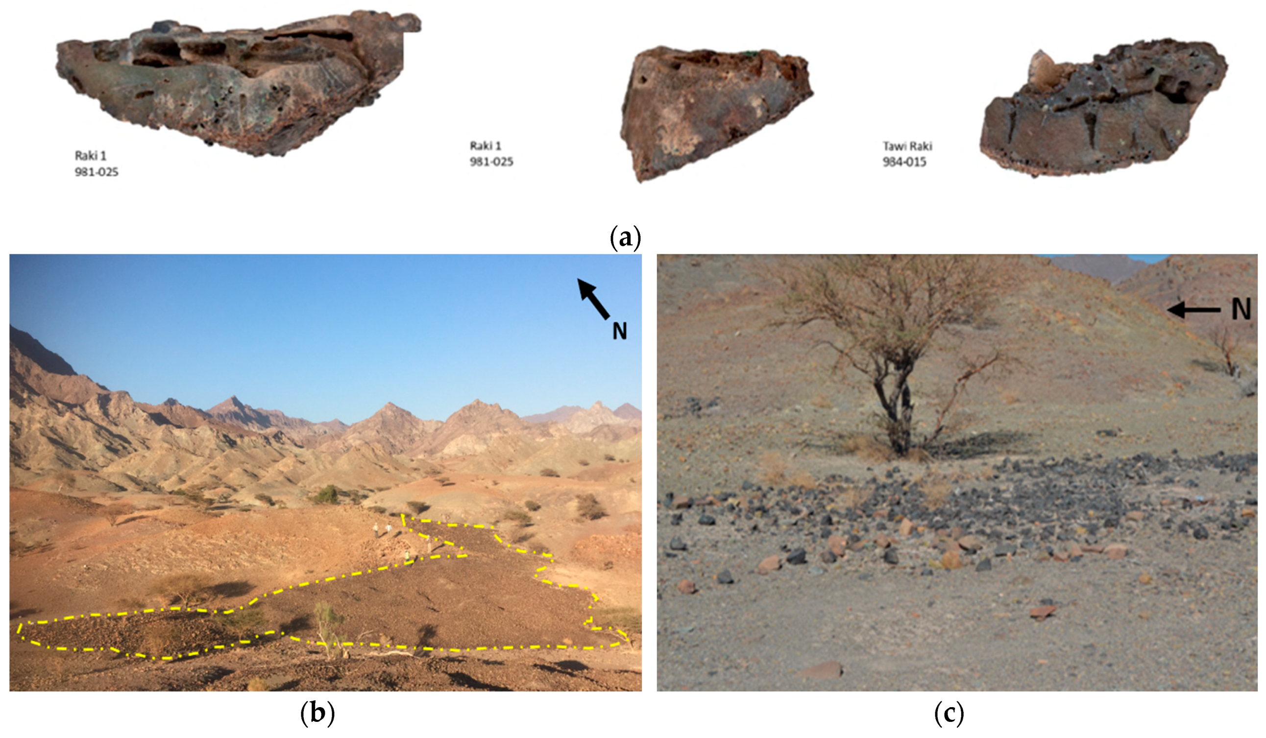 Remotesensing 11 03014 g005