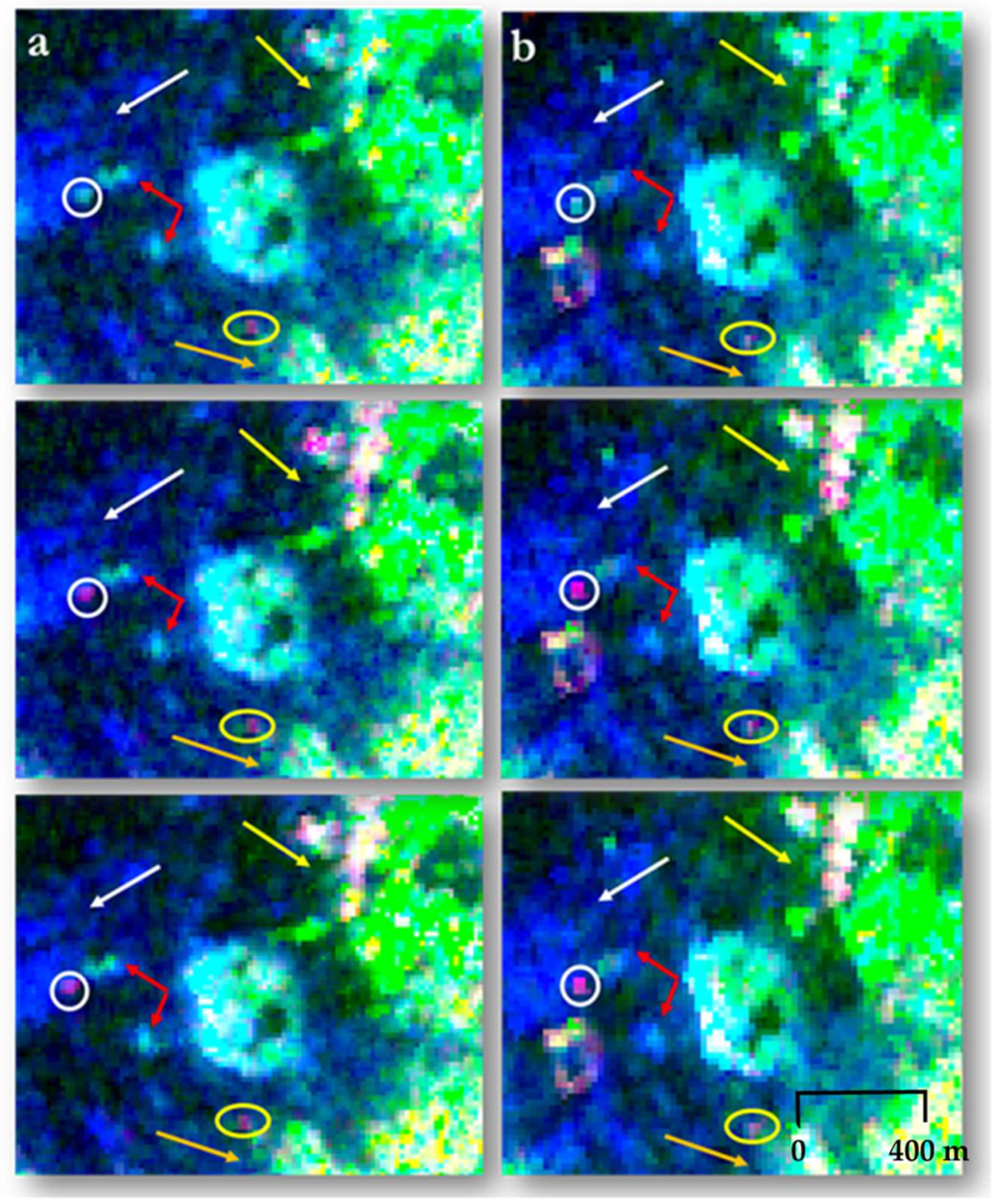 Remotesensing 12 00001 g013 Remotesensing 12 00001 g013