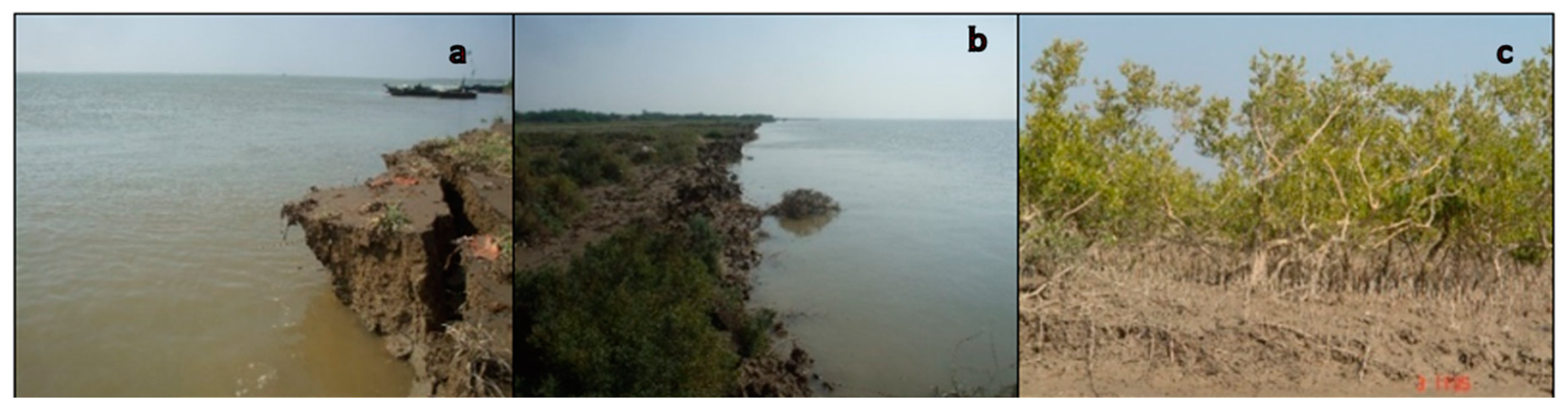 Remotesensing 12 00008 g012