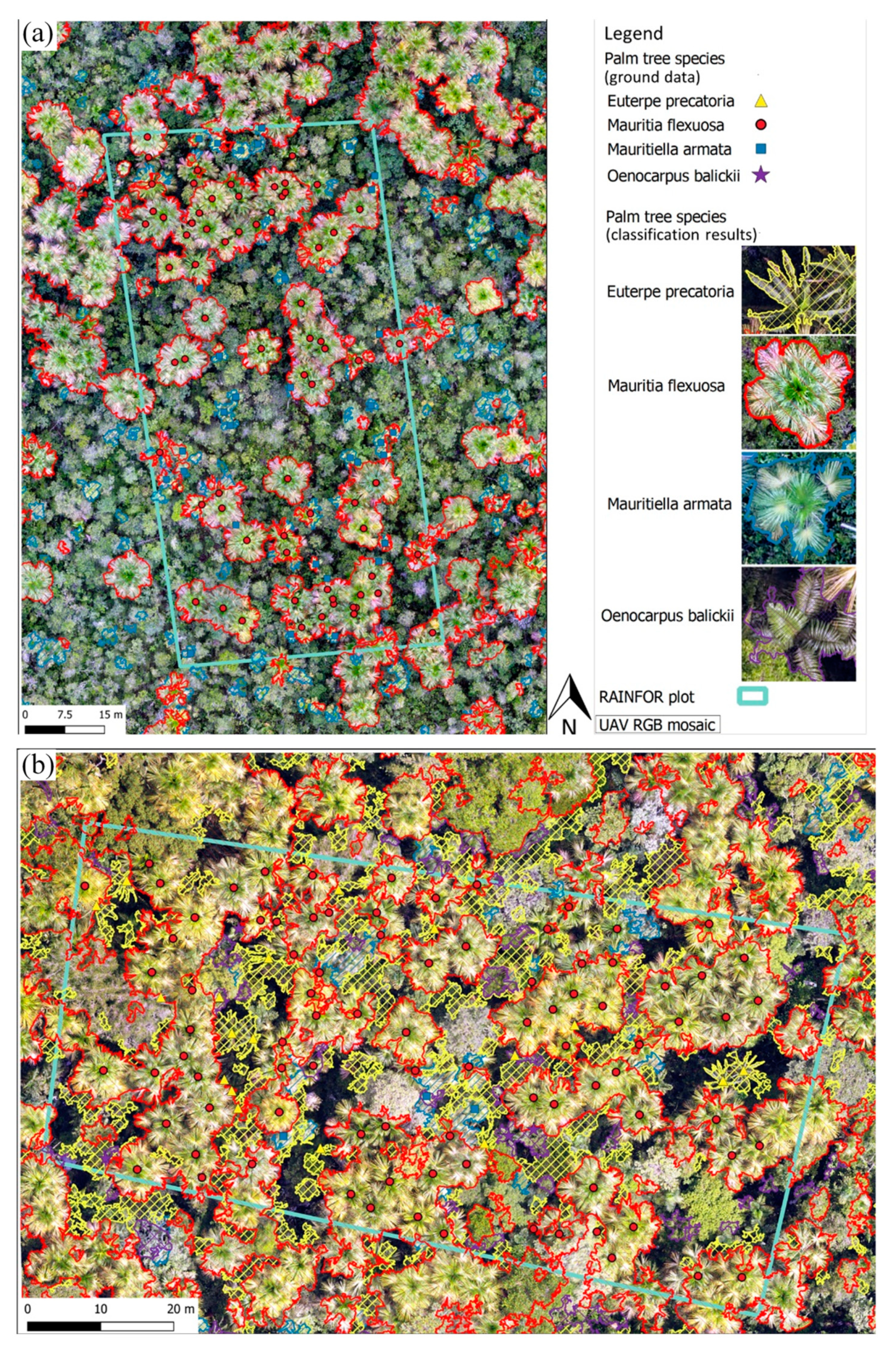 Remotesensing 12 00009 g005 Remotesensing 12 00009 g005