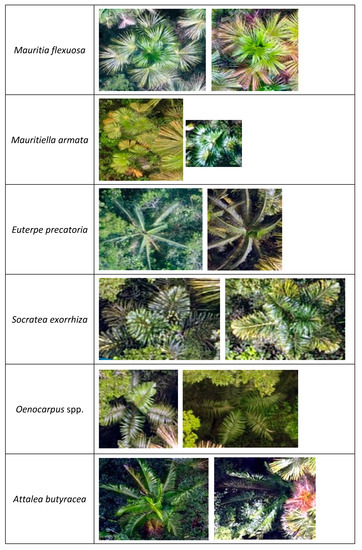 Remotesensing 12 00009 g0a1a Remotesensing 12 00009 g0a1a