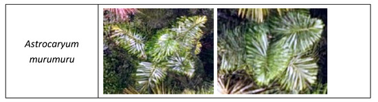 Remotesensing 12 00009 g0a1b