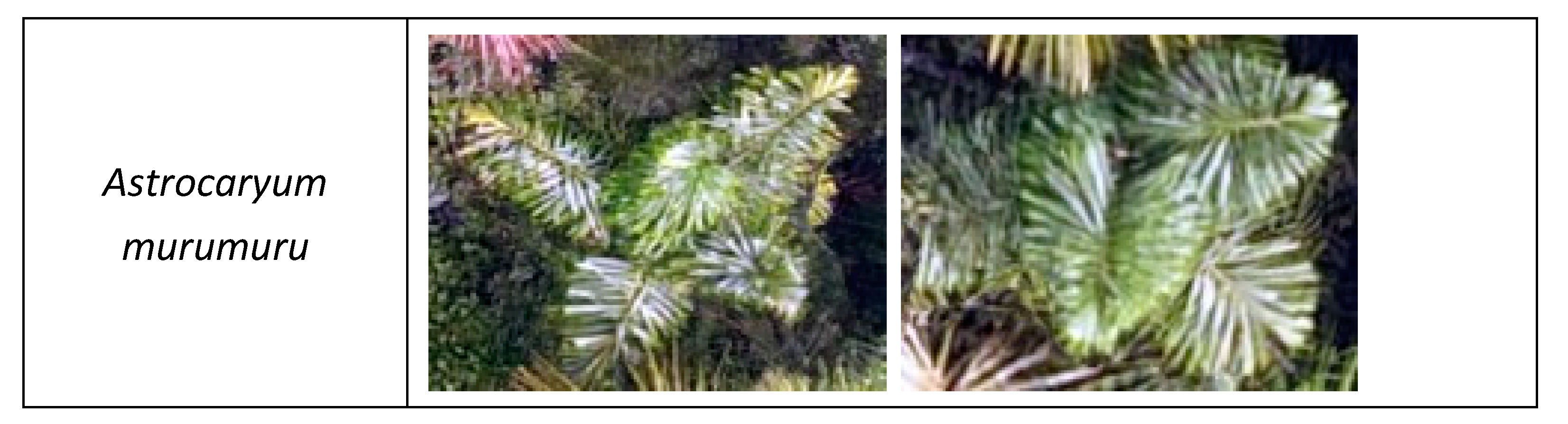 Remotesensing 12 00009 g0a1b Remotesensing 12 00009 g0a1b
