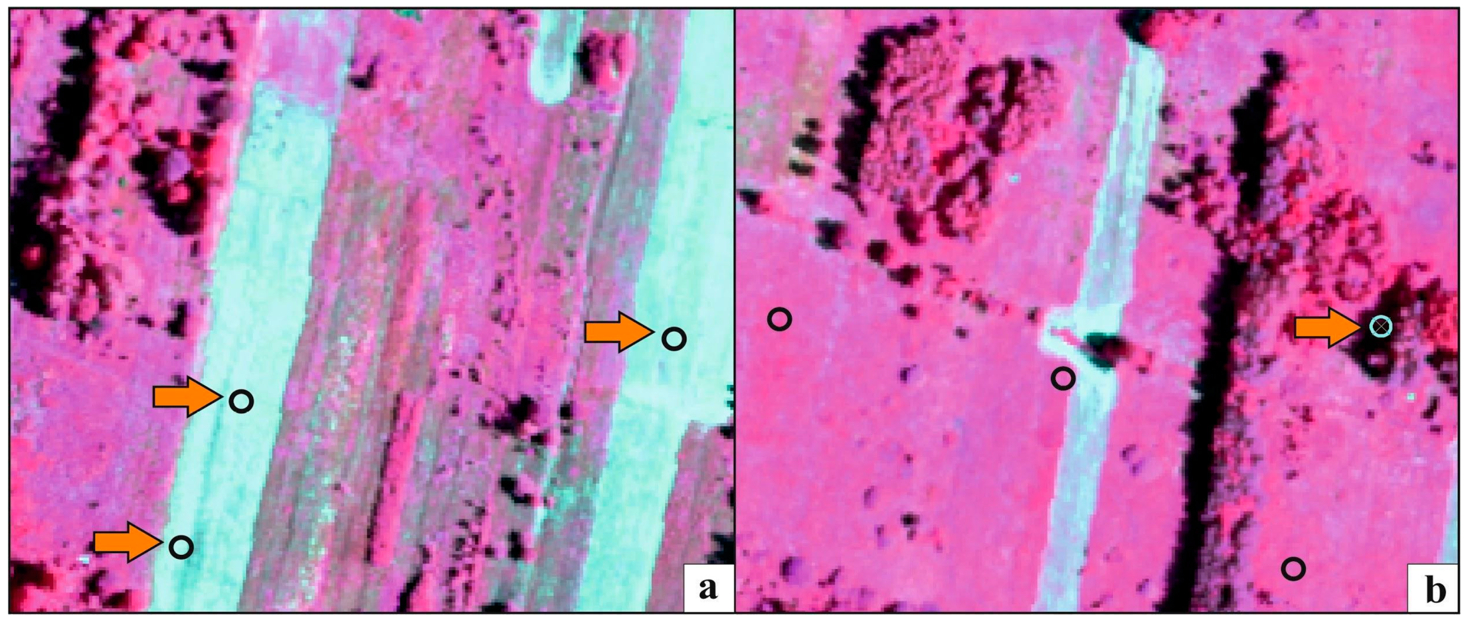 Remotesensing 12 00039 g007