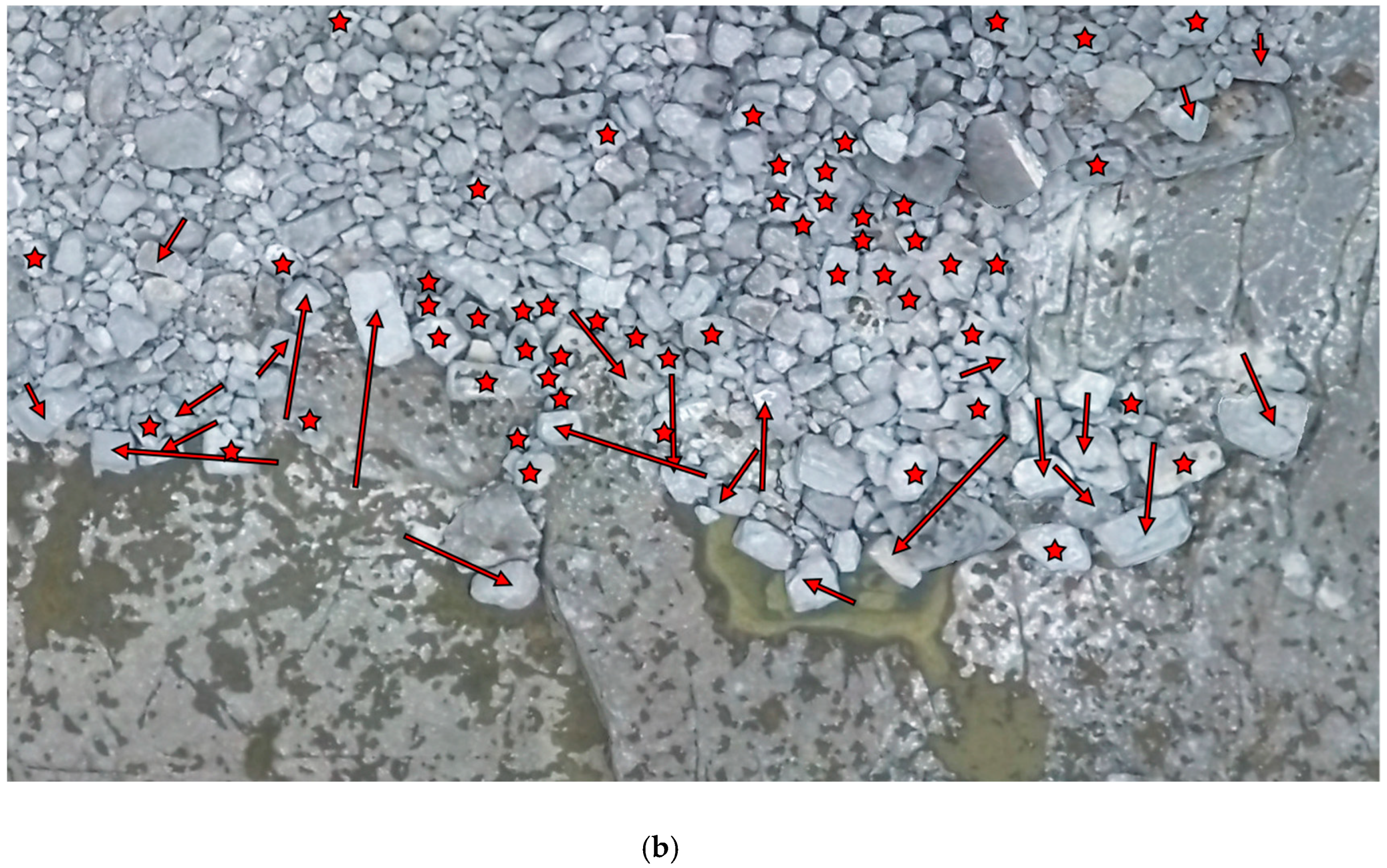 Remotesensing 12 00042 g007b