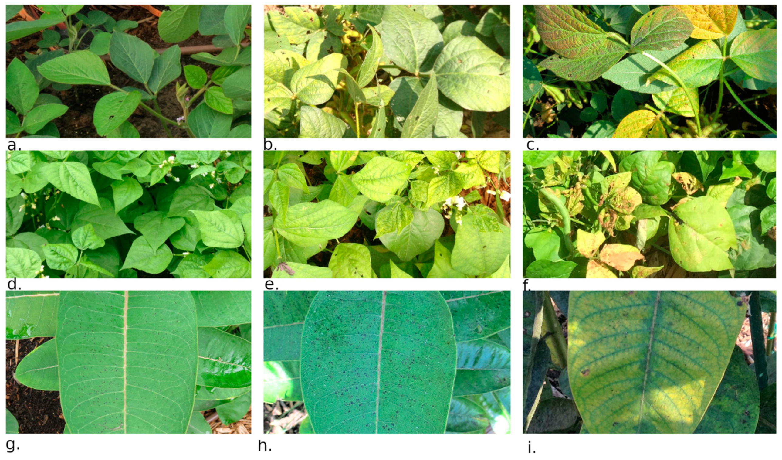 Remotesensing 12 00093 g002