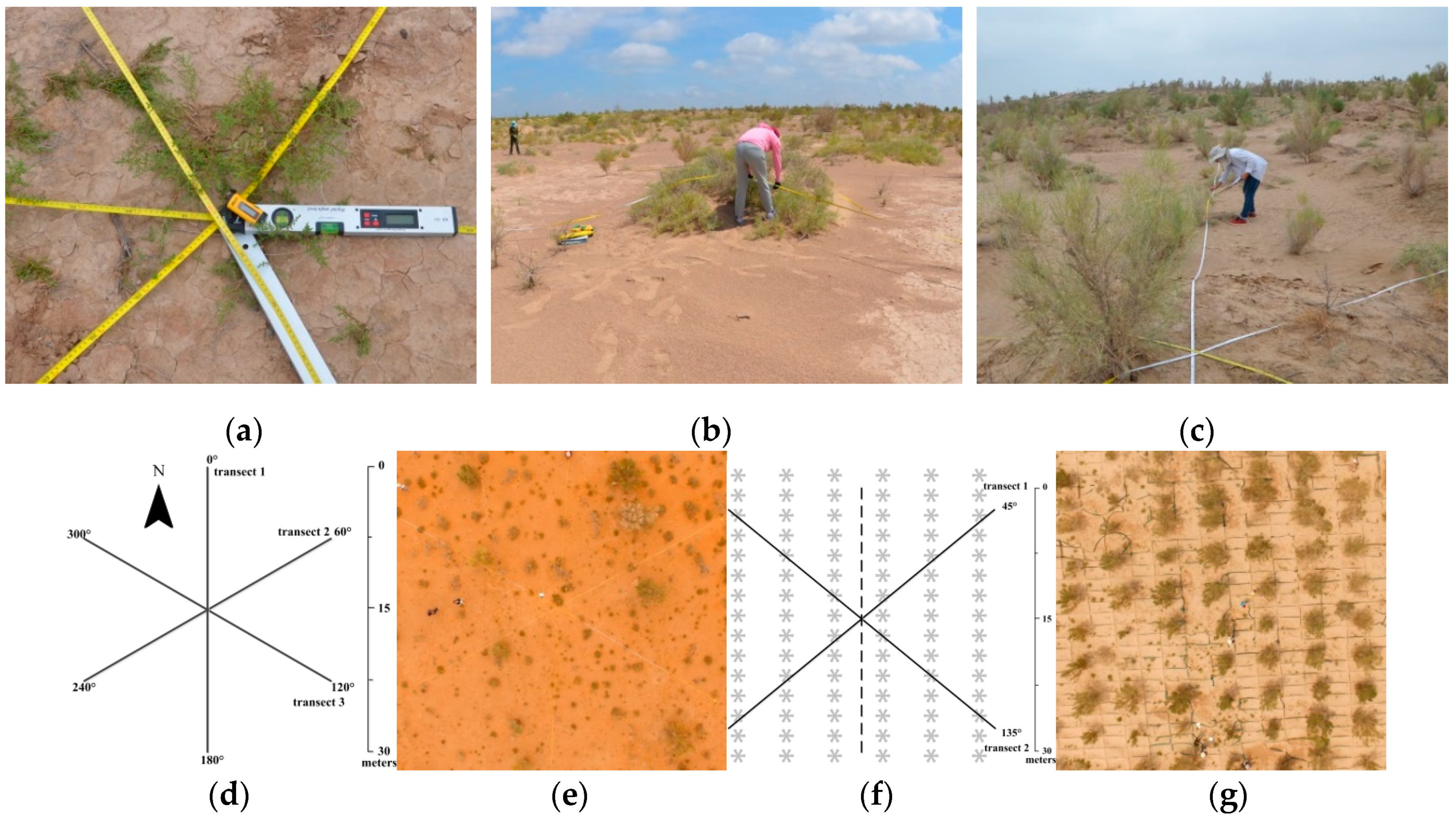 Remotesensing 12 00115 g002