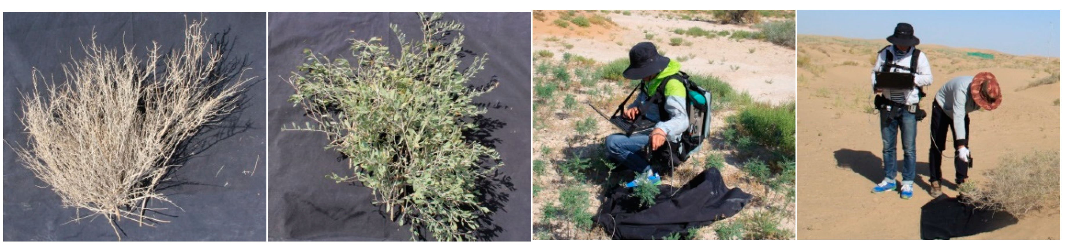 Remotesensing 12 00115 g003