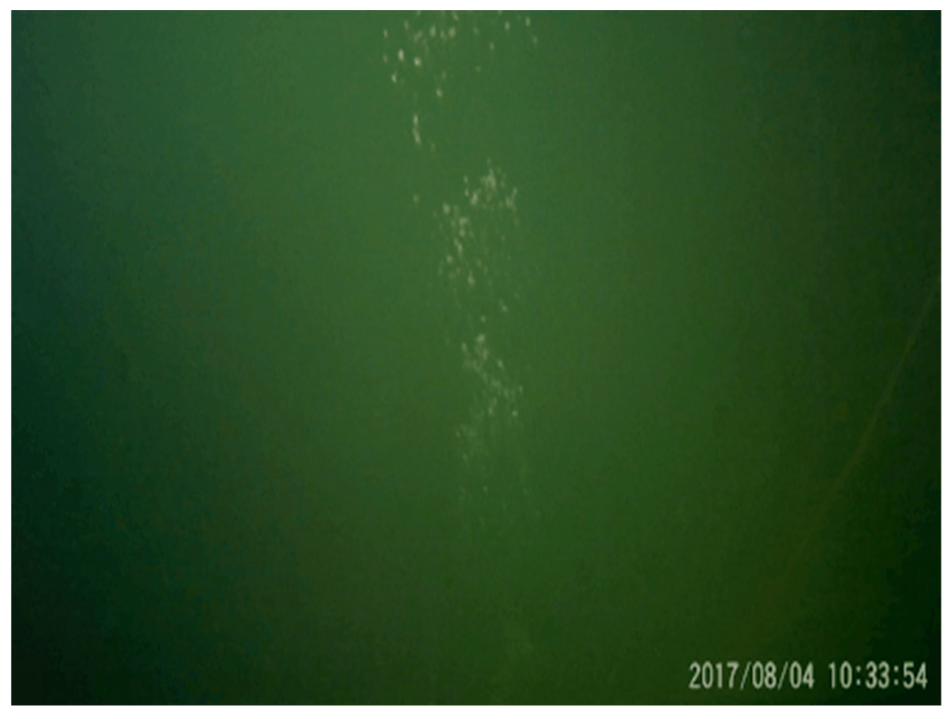 Remotesensing 12 00119 g005