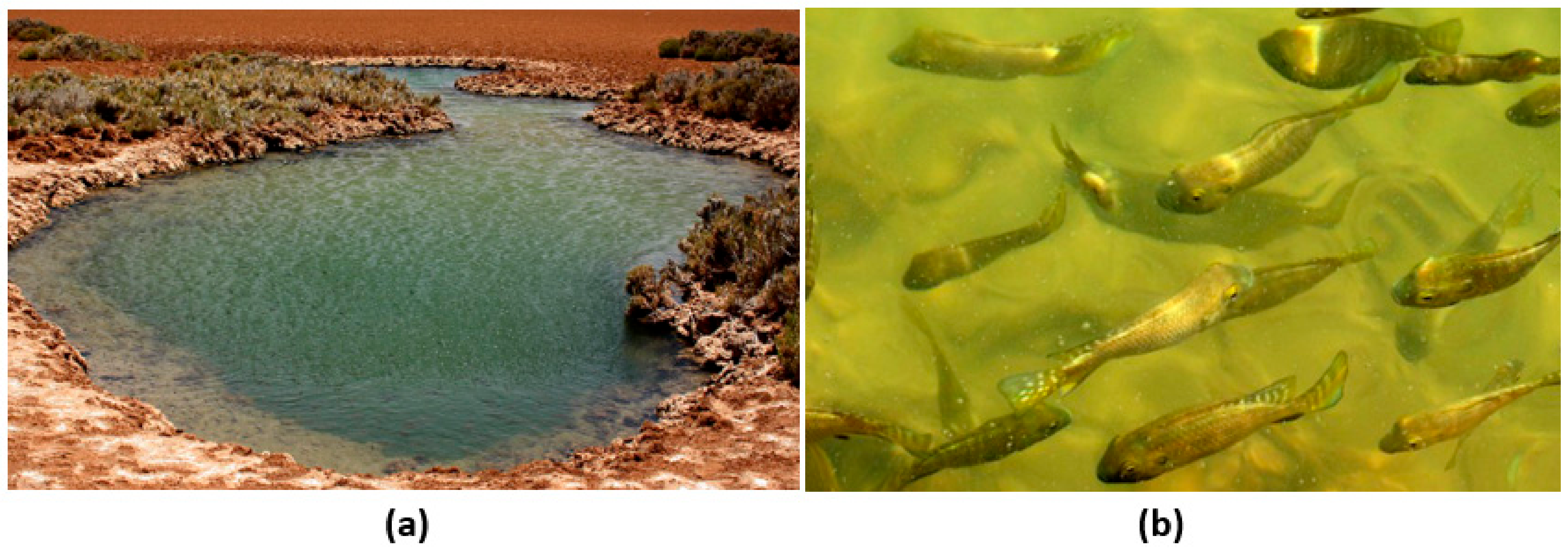 Remotesensing 12 00131 g001