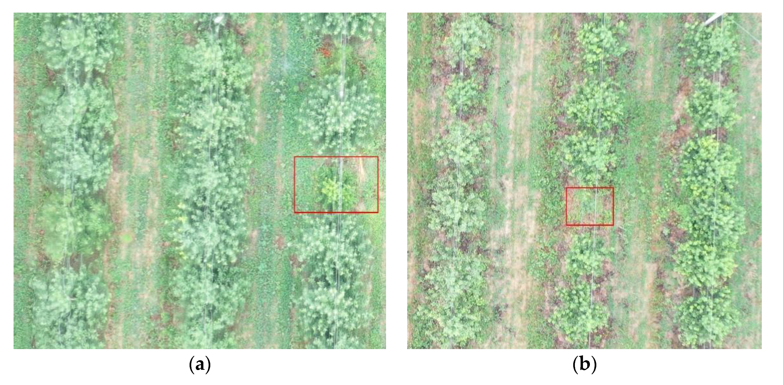 Remotesensing 12 00133 g011