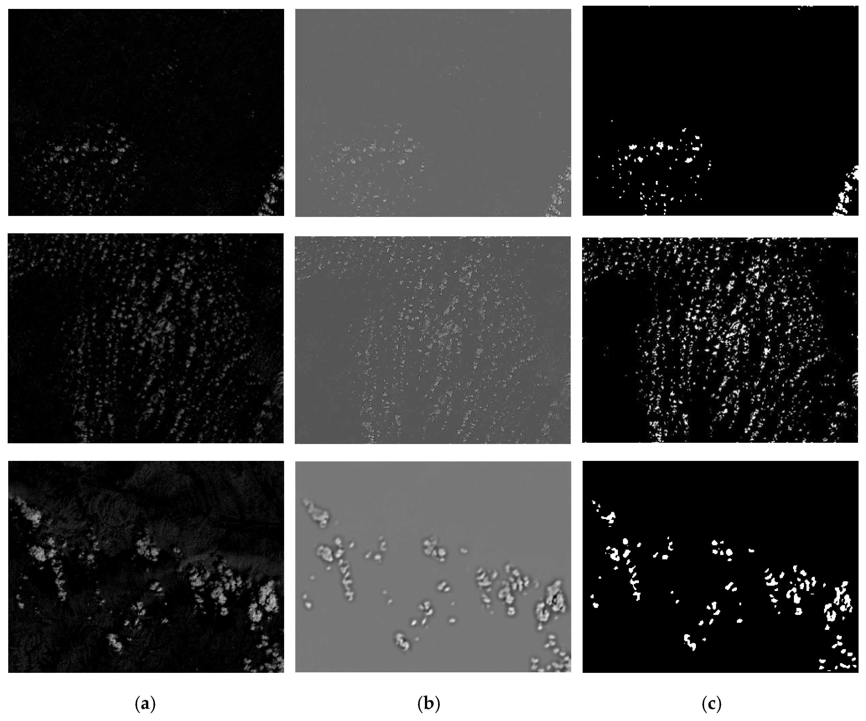 Remotesensing 12 00142 g011b
