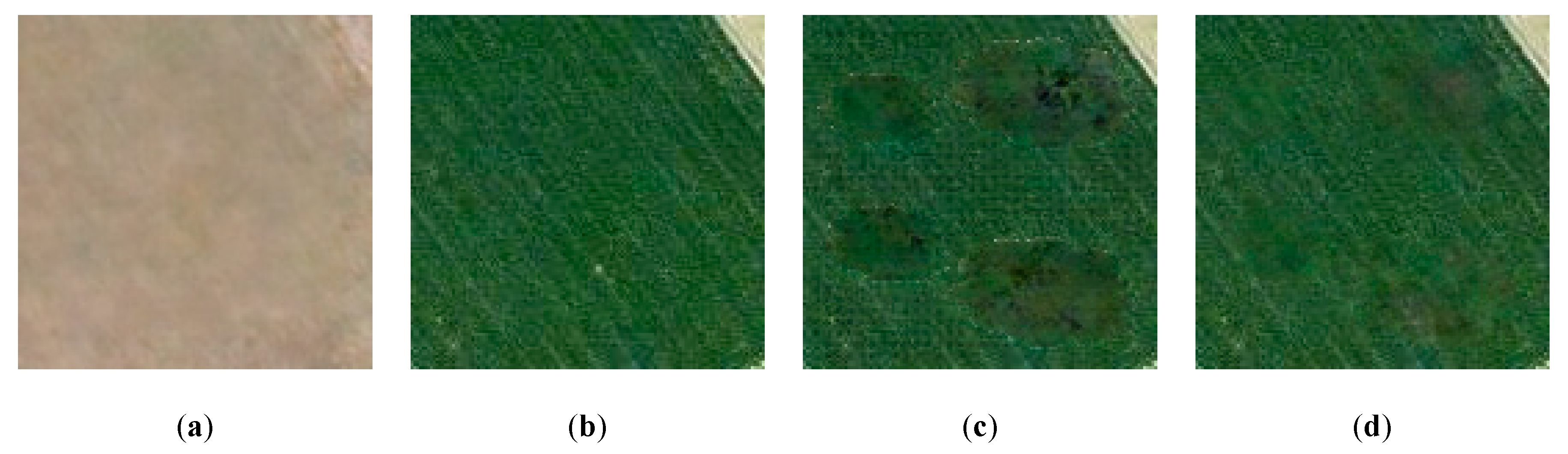 Remotesensing 12 00191 g010