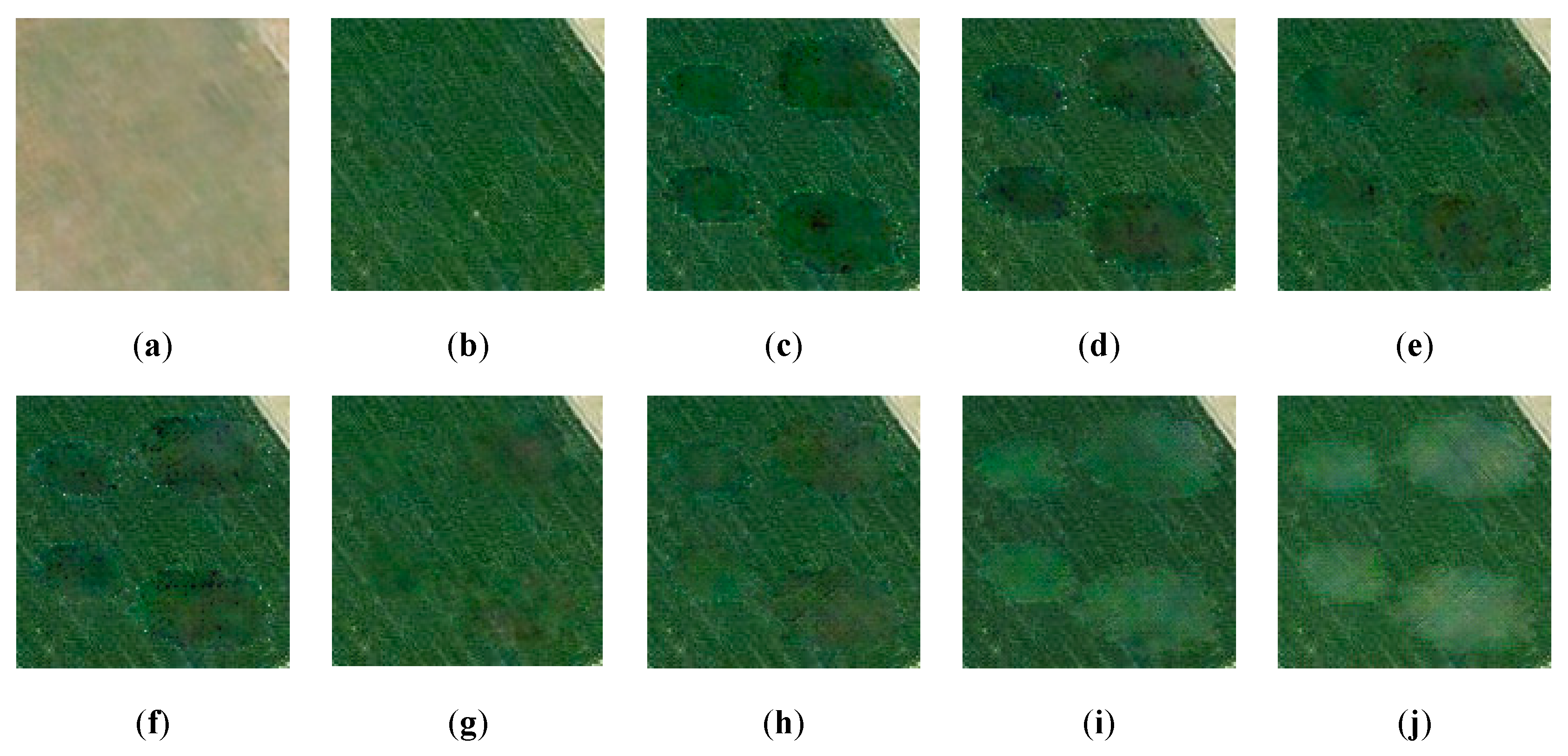 Remotesensing 12 00191 g012