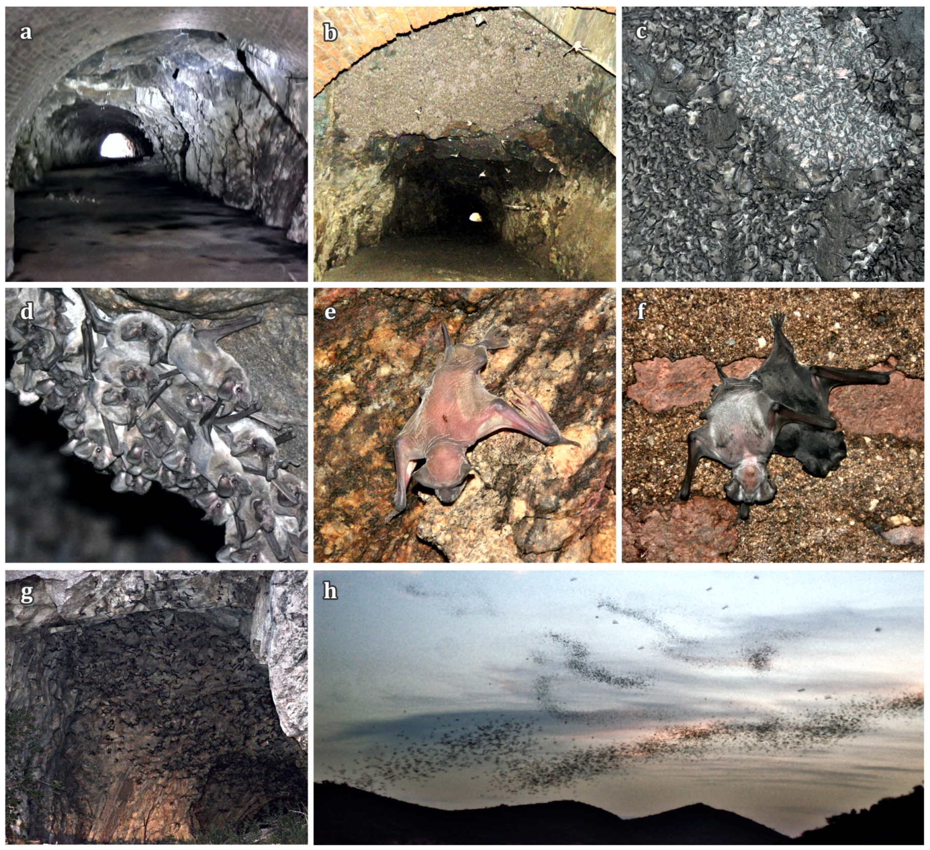 Remotesensing 12 00210 g007 Remotesensing 12 00210 g007