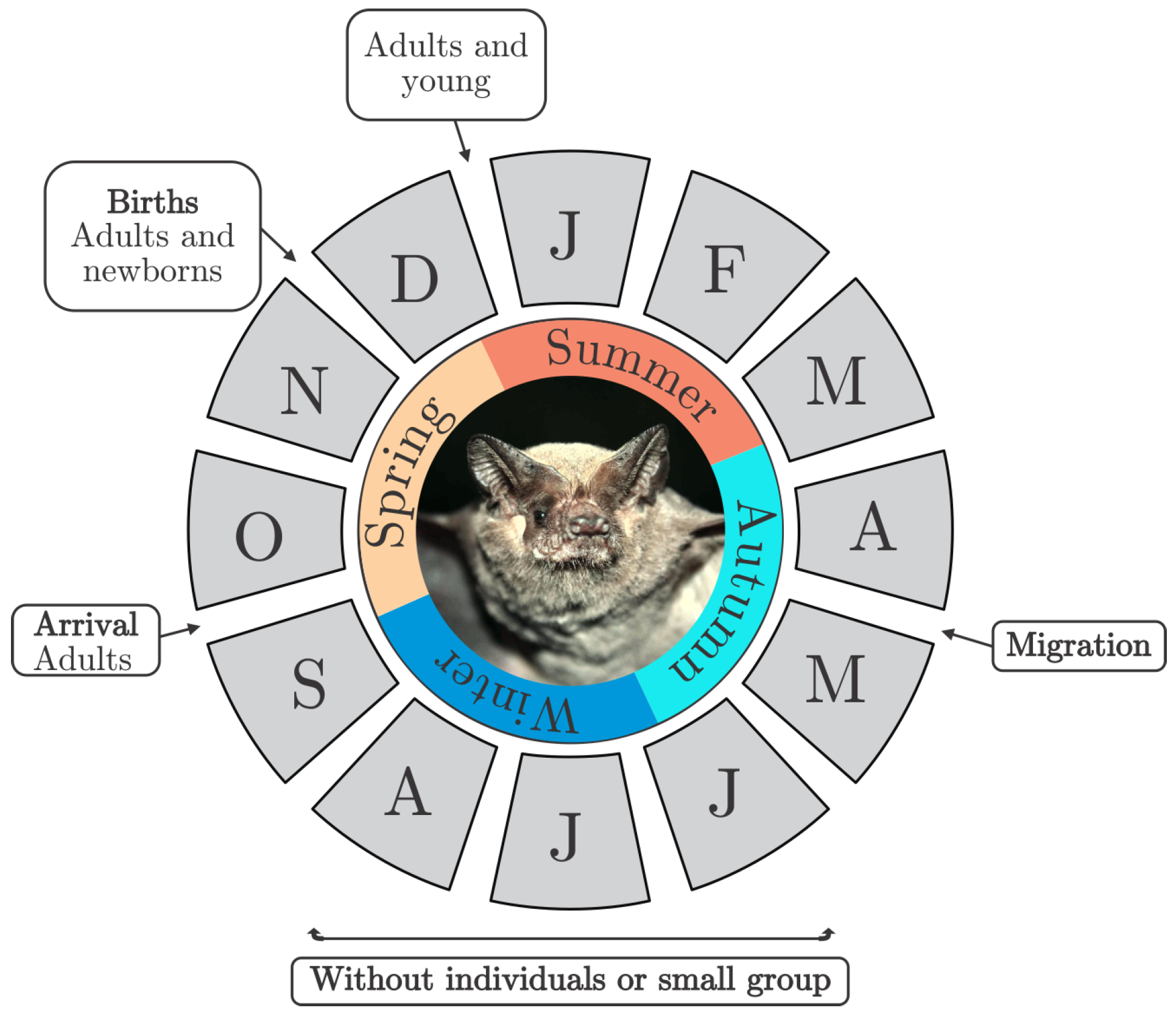 Remotesensing 12 00210 g008 Remotesensing 12 00210 g008