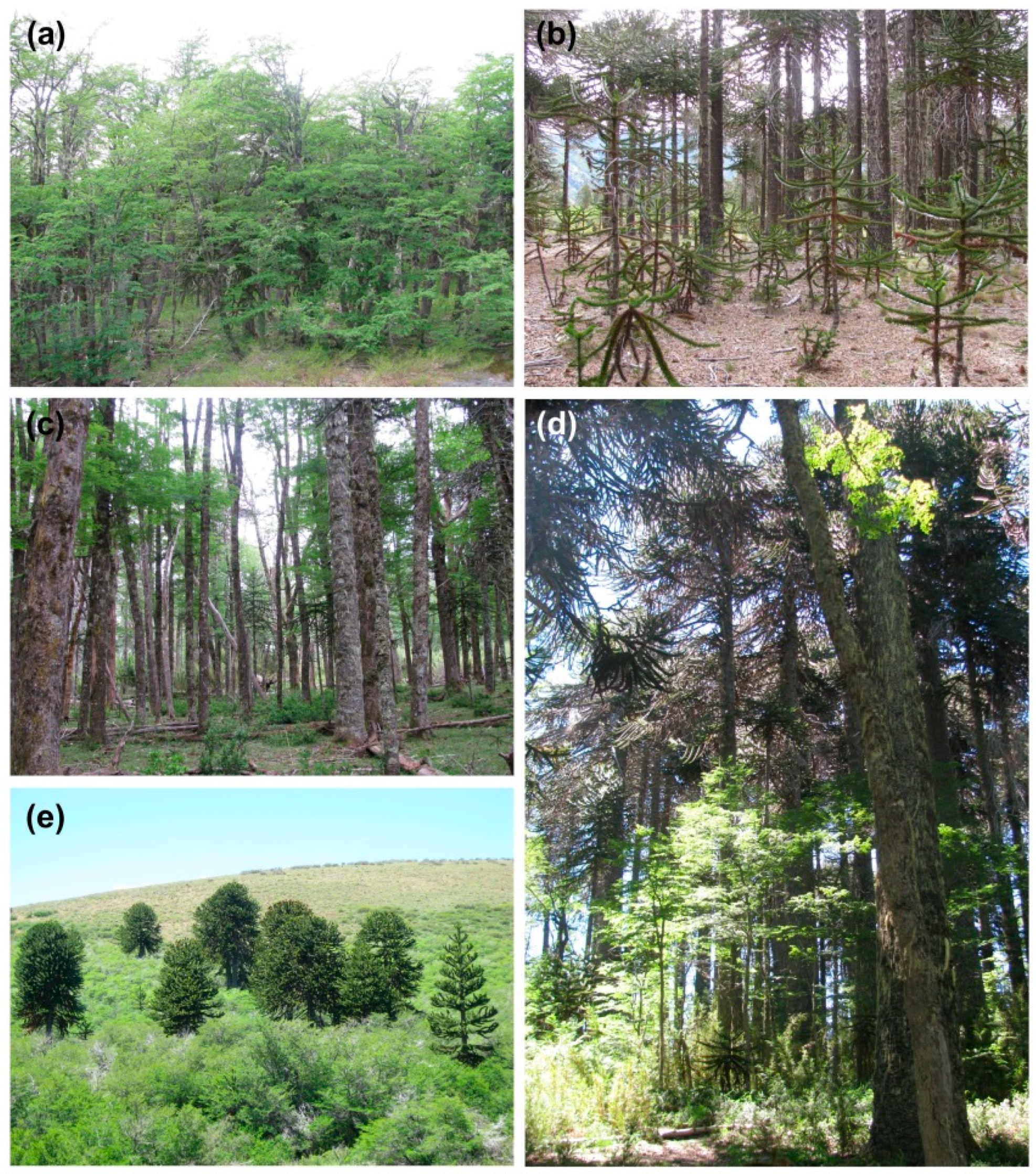 Remotesensing 12 00214 g003