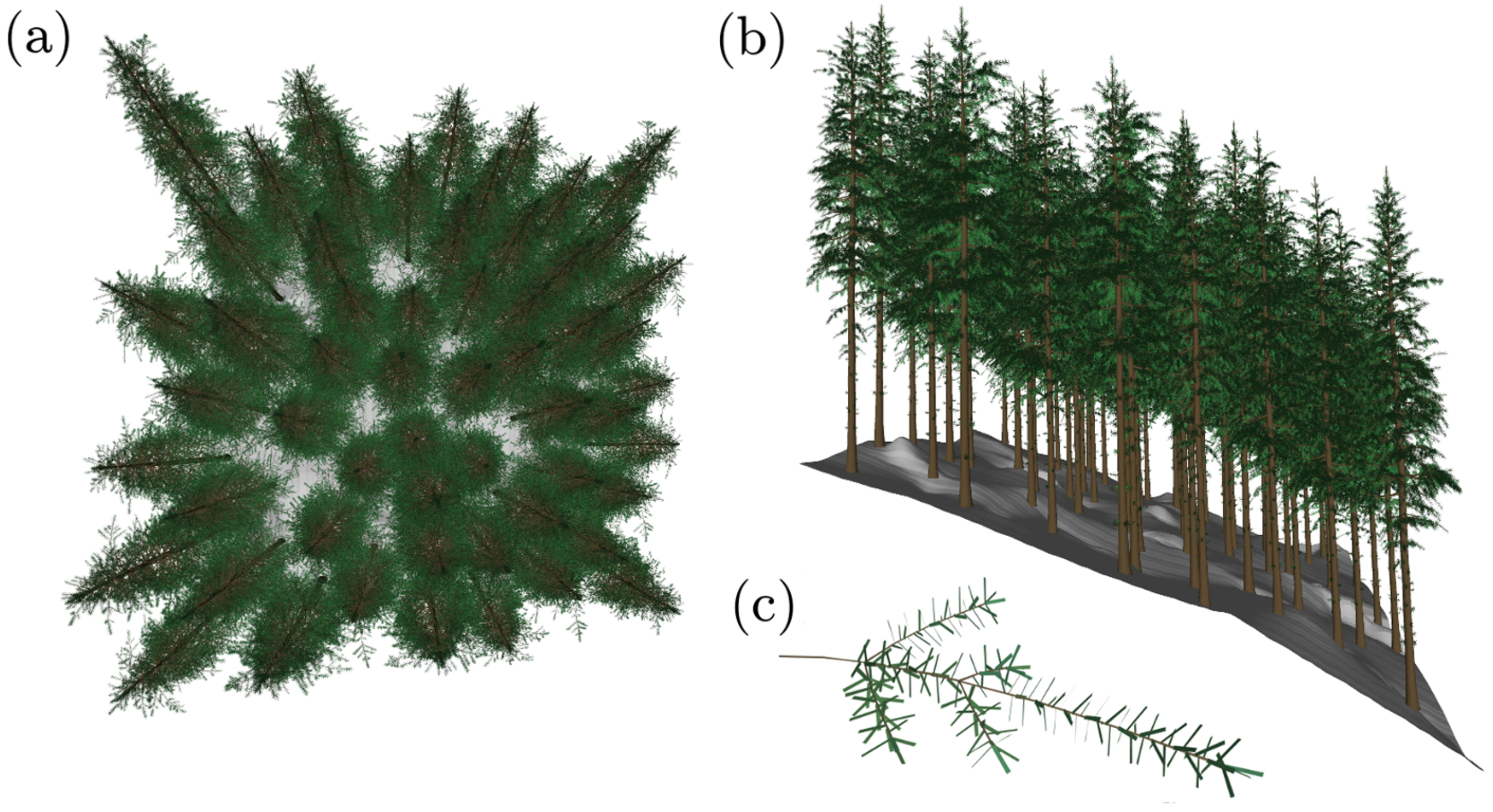 Remotesensing 12 00247 g002