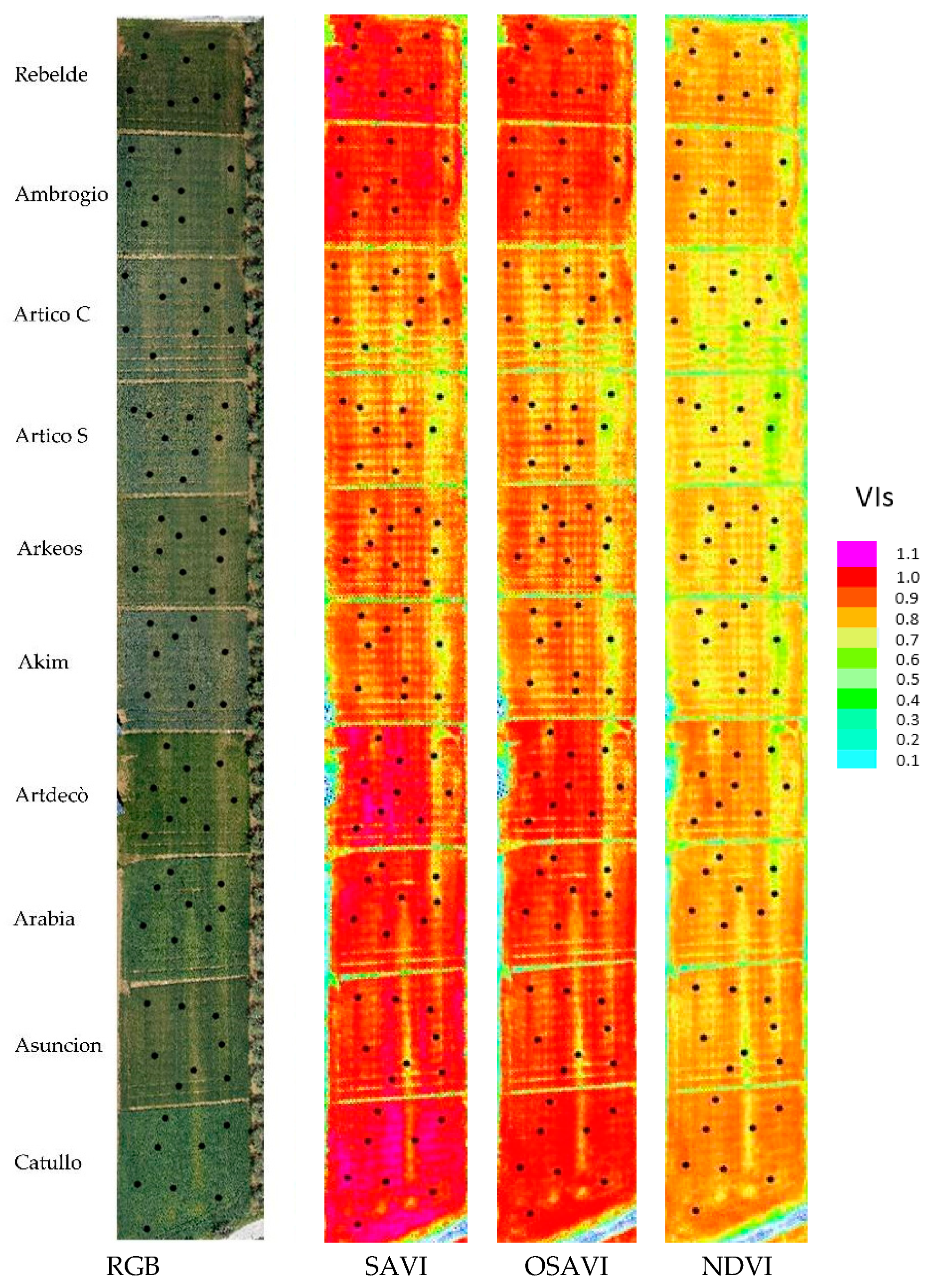 Remotesensing 12 00249 g001 Remotesensing 12 00249 g001