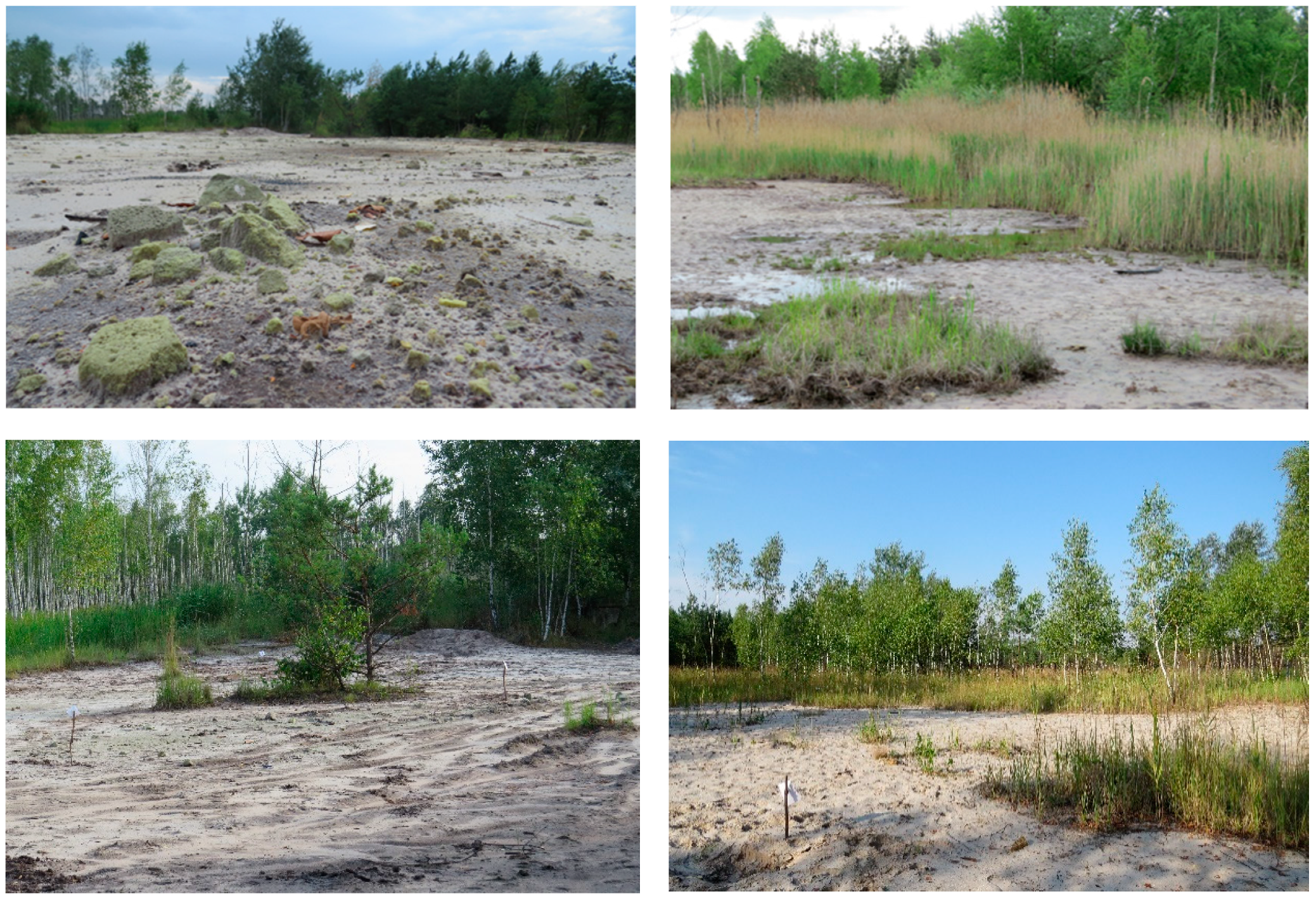 Remotesensing 12 00261 g002