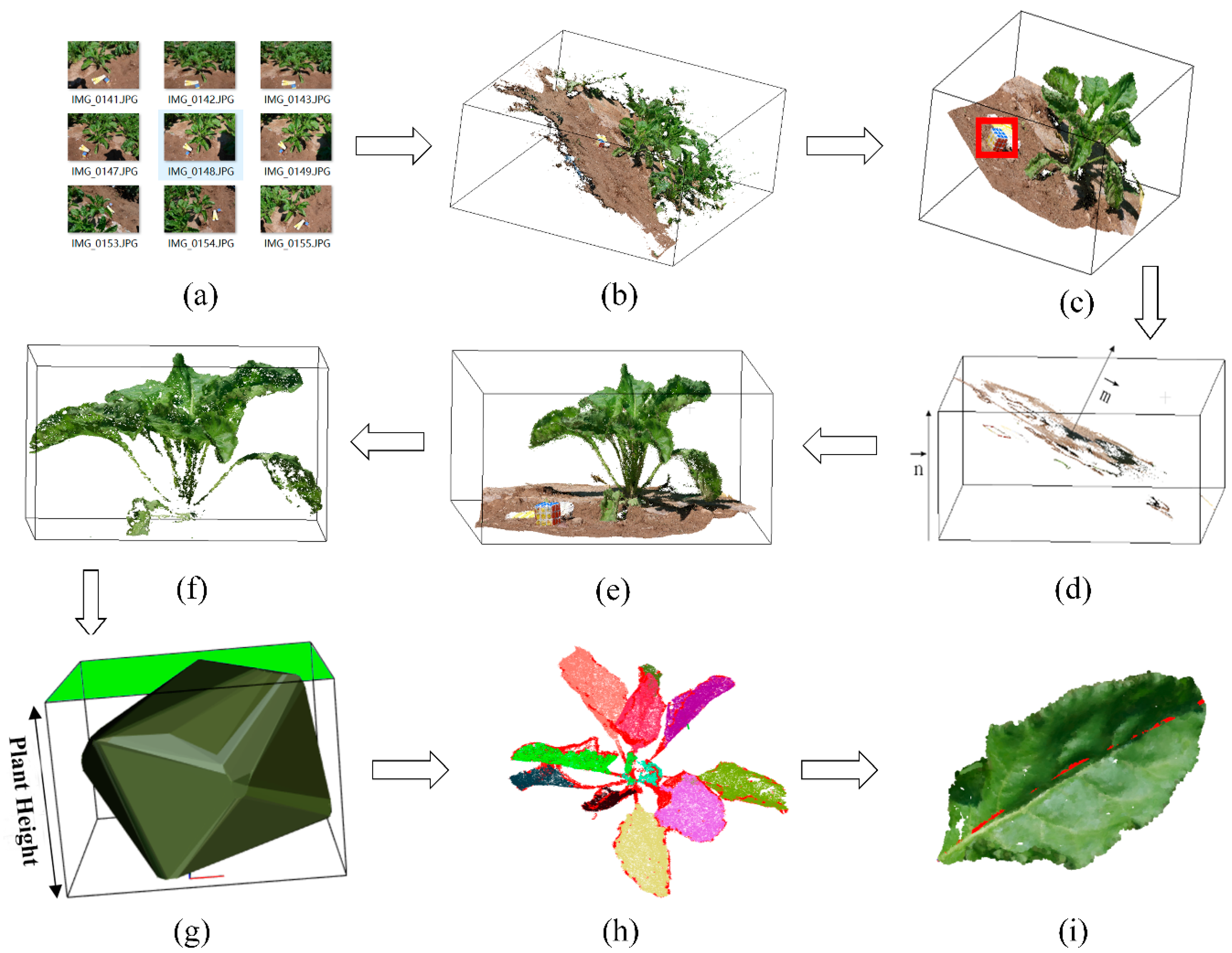 Remotesensing 12 00269 g002