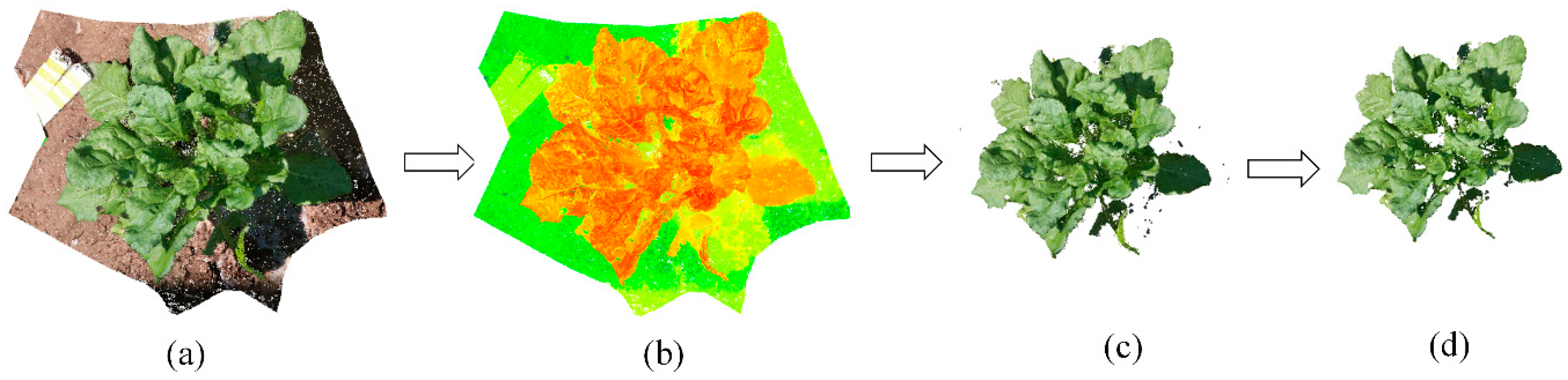Remotesensing 12 00269 g005