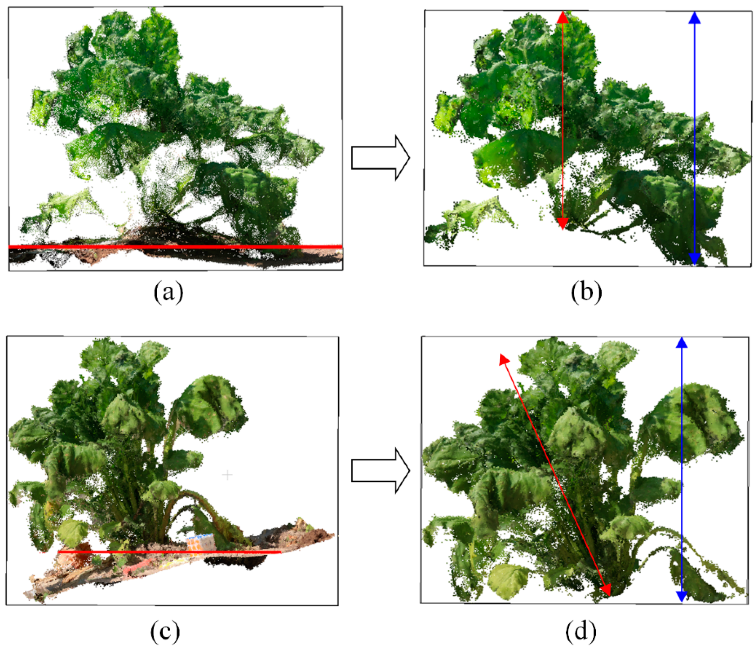 Remotesensing 12 00269 g010