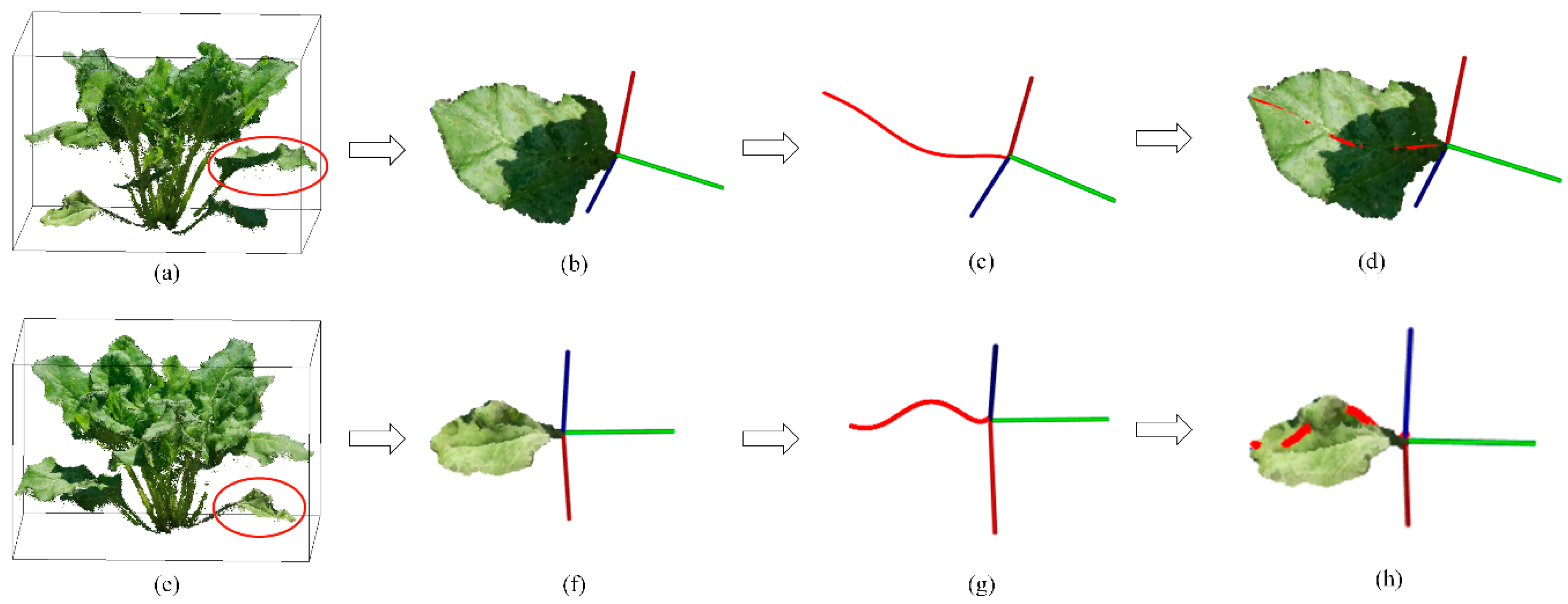 Remotesensing 12 00269 g011