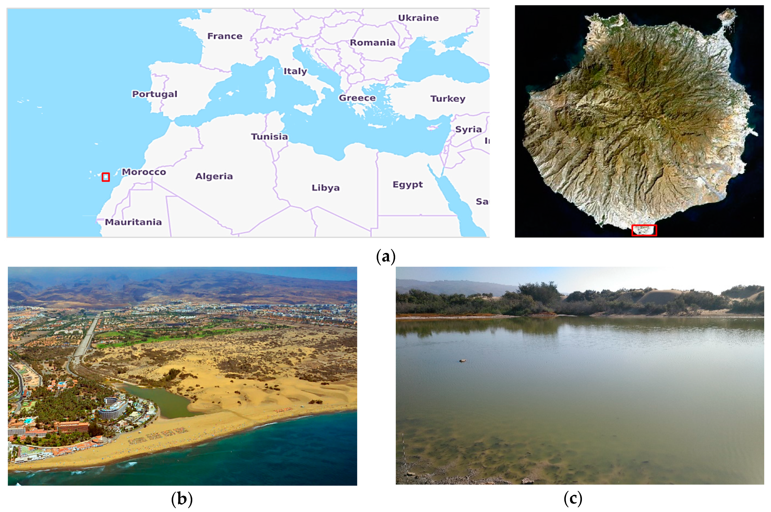 Remotesensing 12 00284 g001