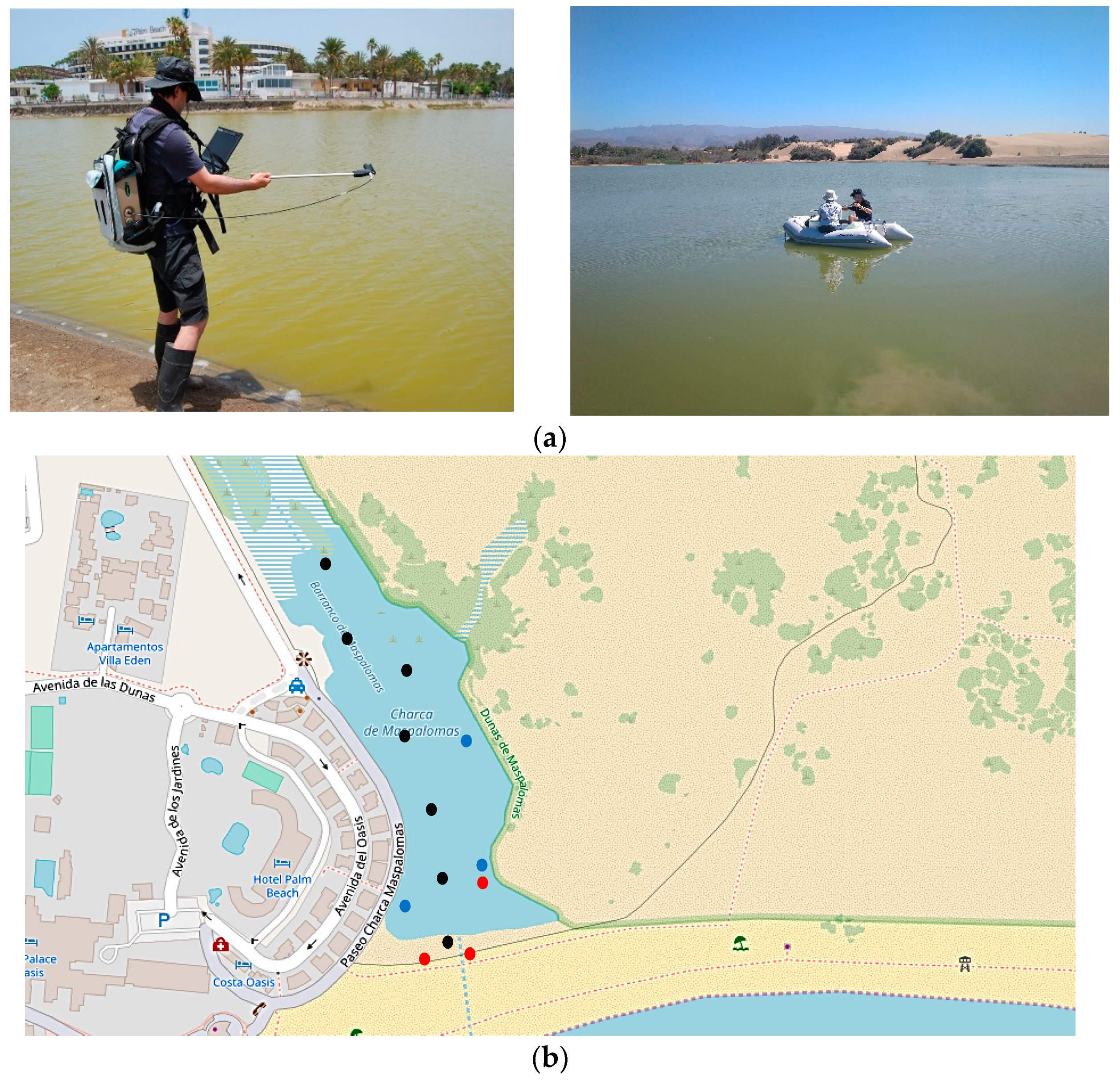 Remotesensing 12 00284 g003