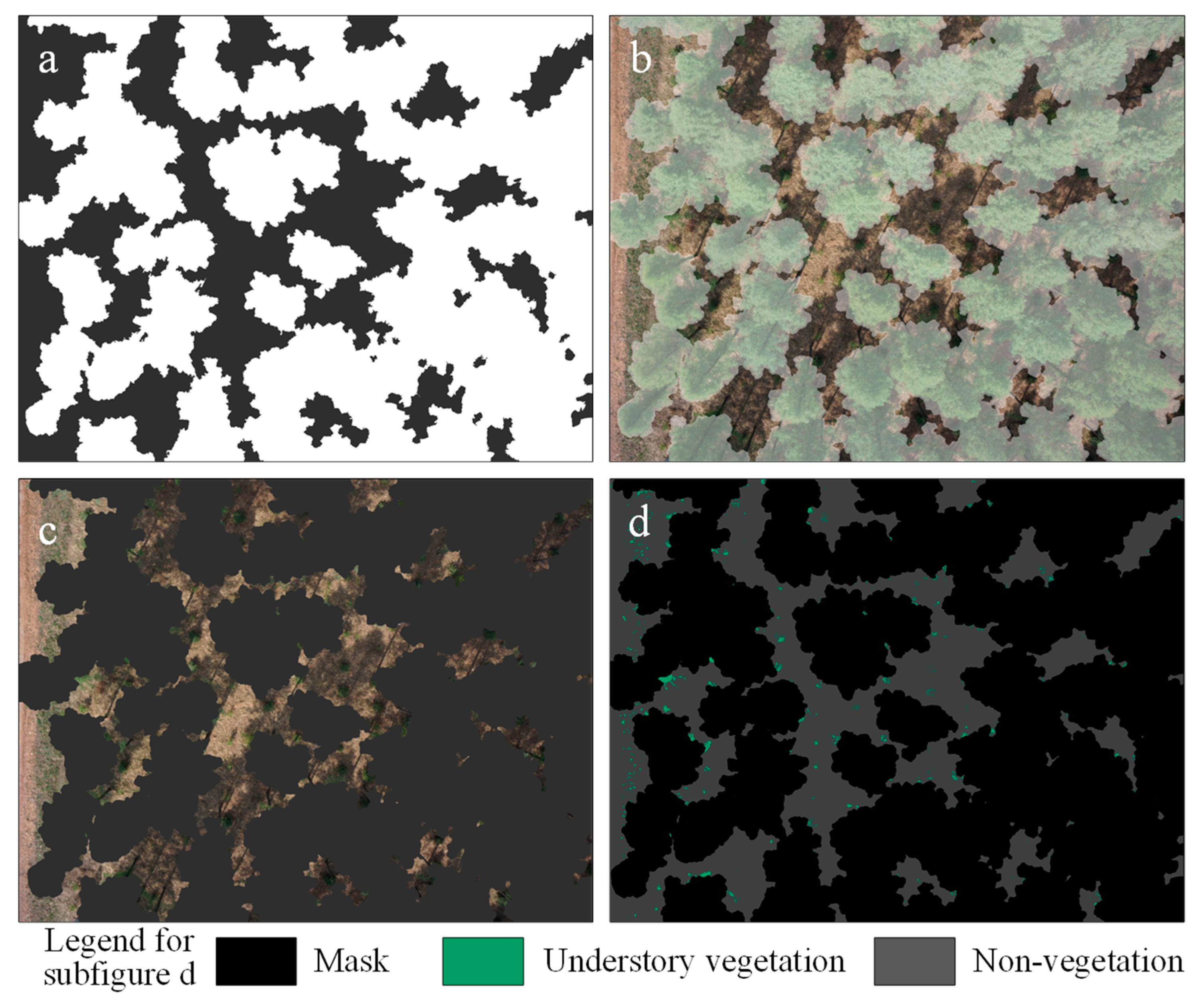 Remotesensing 12 00298 g006
